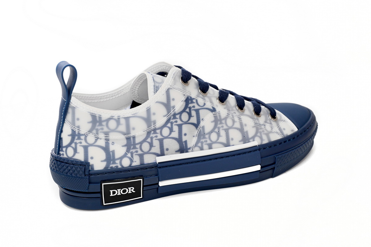 Dior B23 Oblique Transparency LOW White Blue