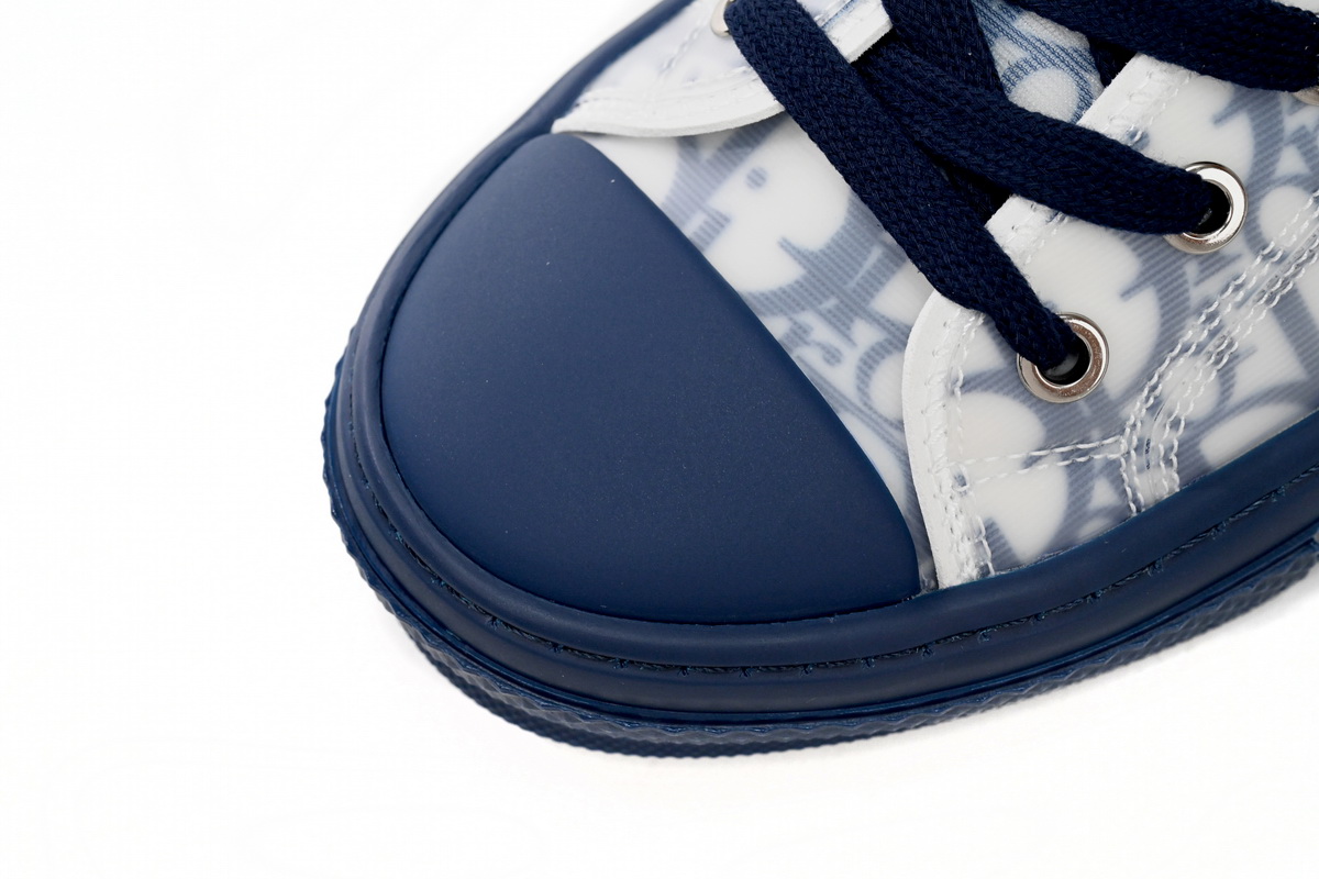 Dior B23 Oblique Transparency LOW White Blue