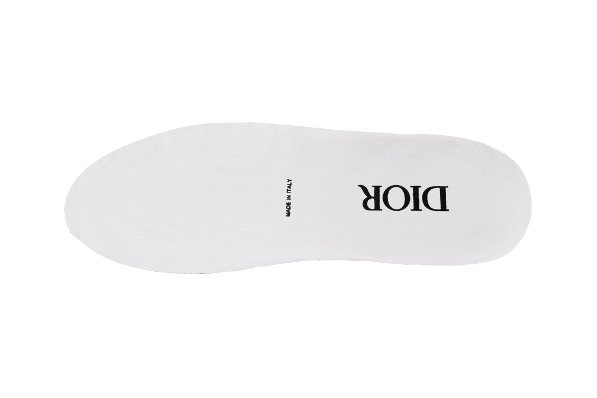 Dior B23 HT Oblique Transparency HIGH Mica