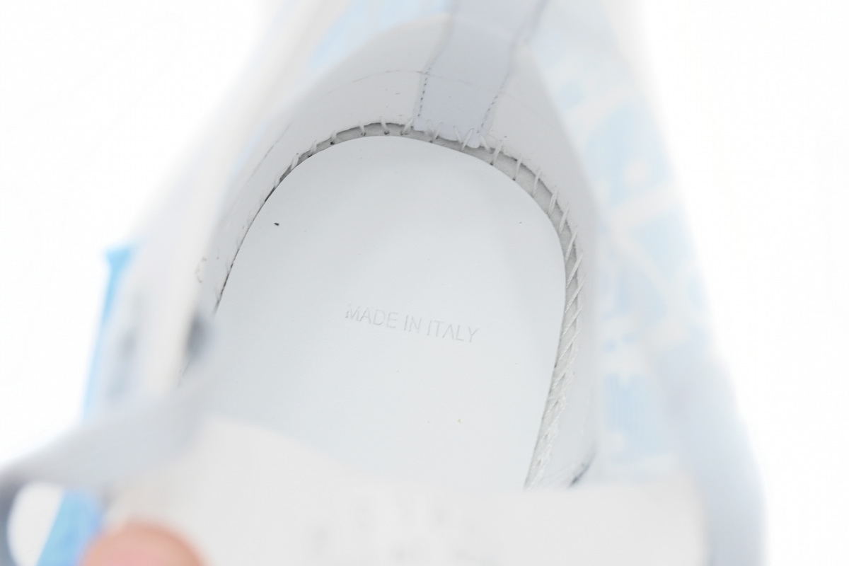 Dior B23 HT Oblique Transparency HIGH Mica