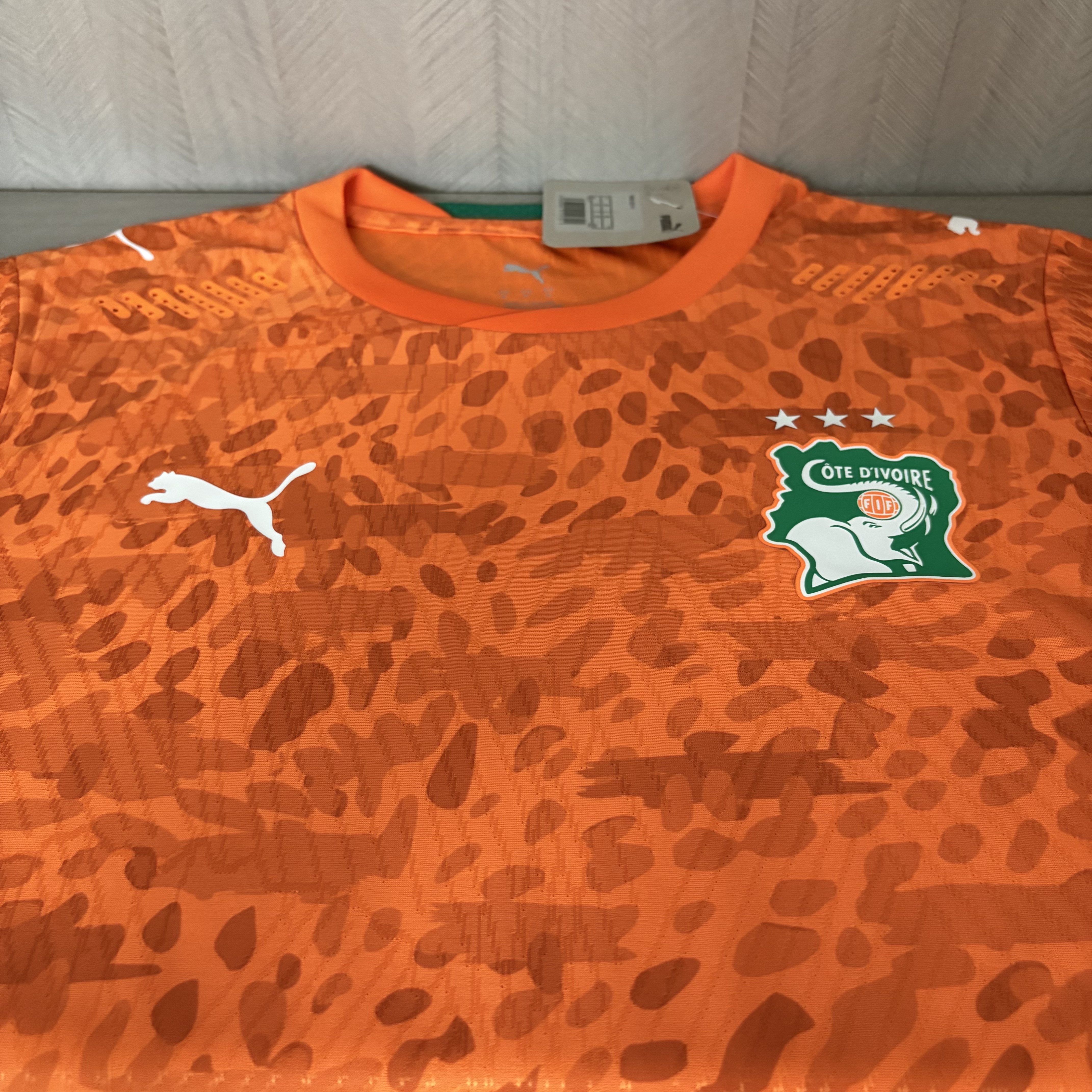2026 Player Version Ivory Coast Jersey