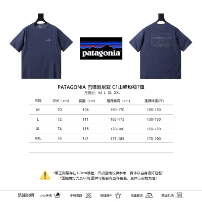 Patagonia C1 Mountain Short Grey Sleeve T-Shirt 01