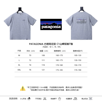 Patagonia C1 Mountain Short Light Gray Sleeve T-Shirt 01
