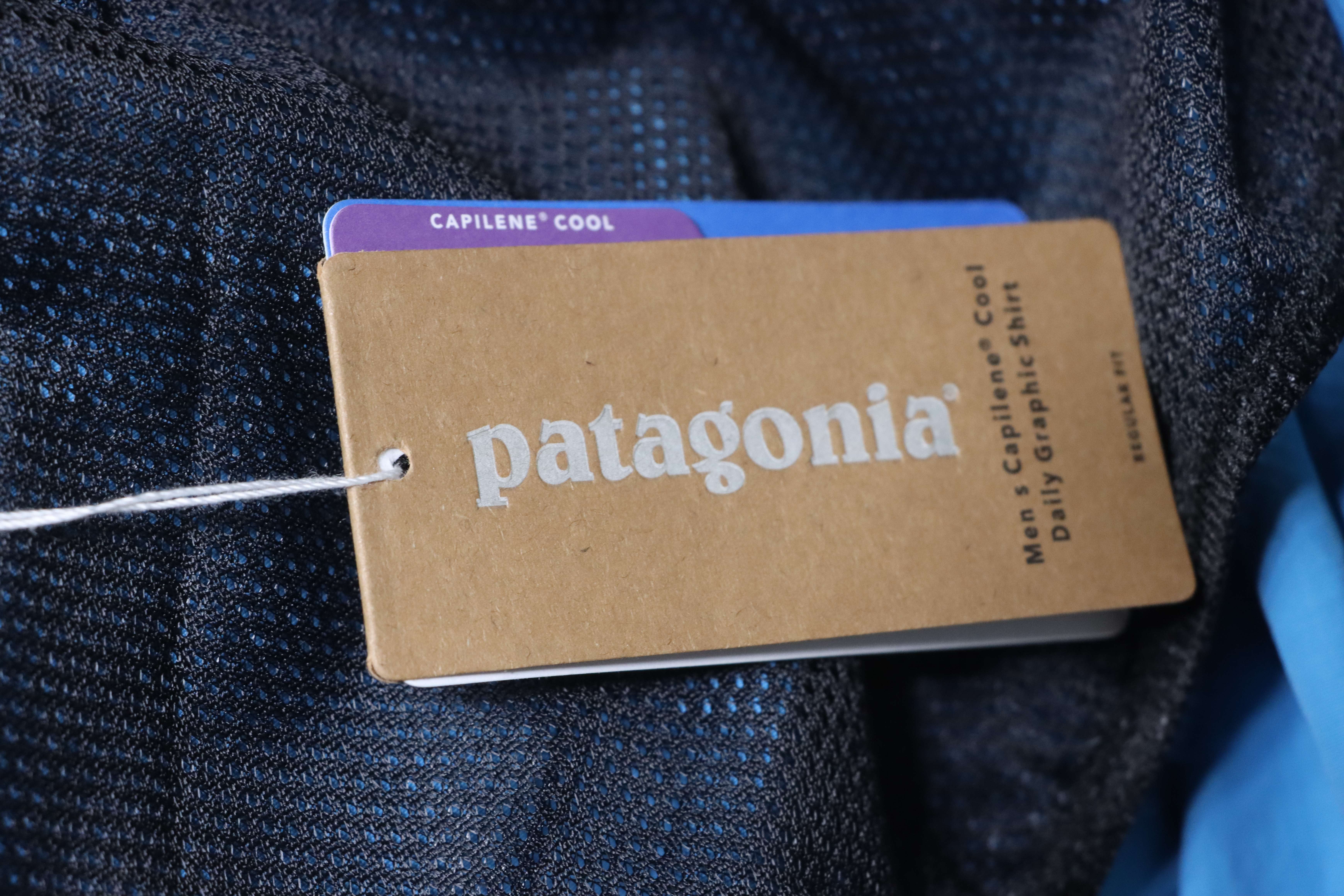 Patagonia P-6 Logo Responsibili Logo Shorts Blue