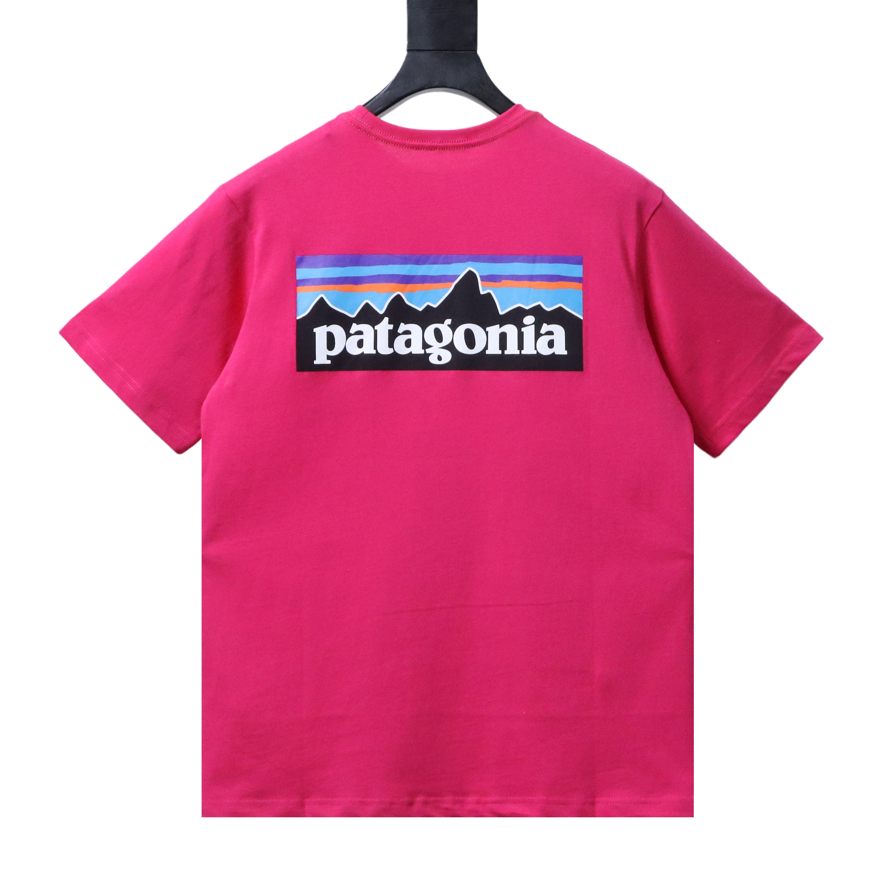 Patagonia P-6 Red Letter Short Sleeve T-Shirt