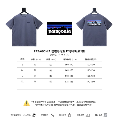 Patagonia P-6 Teal Letter Short Sleeve T-Shirt 01