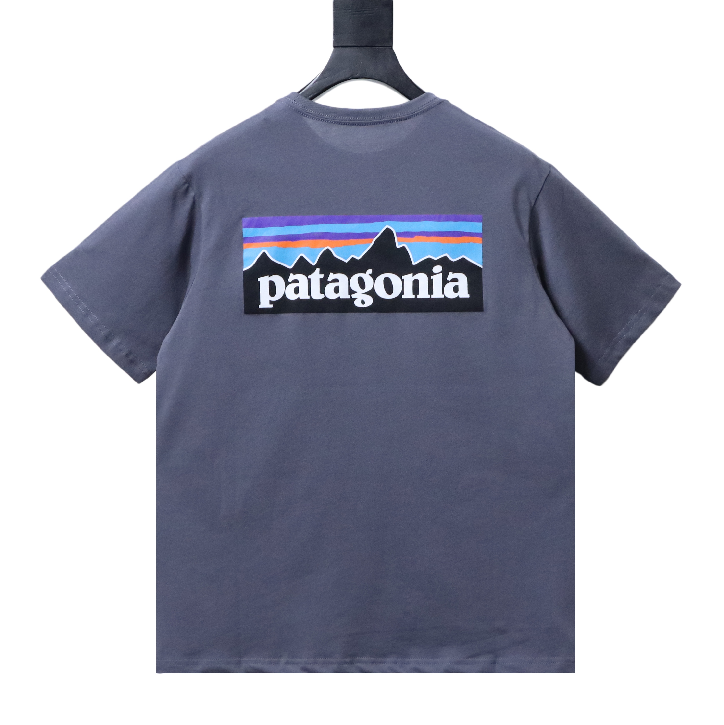 Patagonia P-6 Teal Letter Short Sleeve T-Shirt