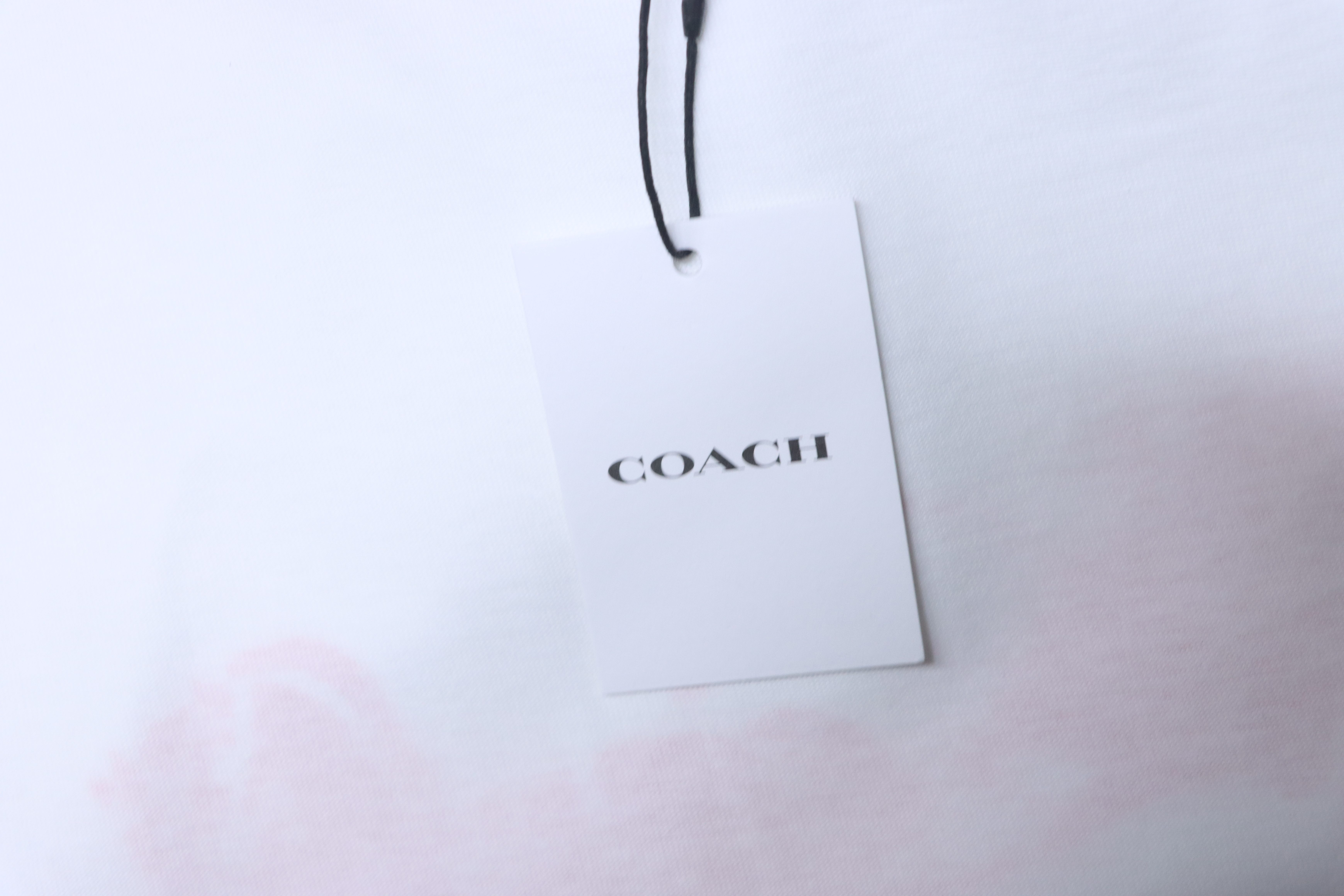CLOT x COACH Horse and Carriage Logo Letter Short Sleeve T-Shirt Style 2