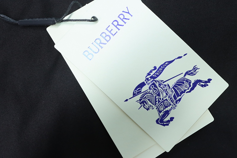 BURBERRY 25FW Check Equestrian Embroidery Long Sleeve T-Shirt Style 1