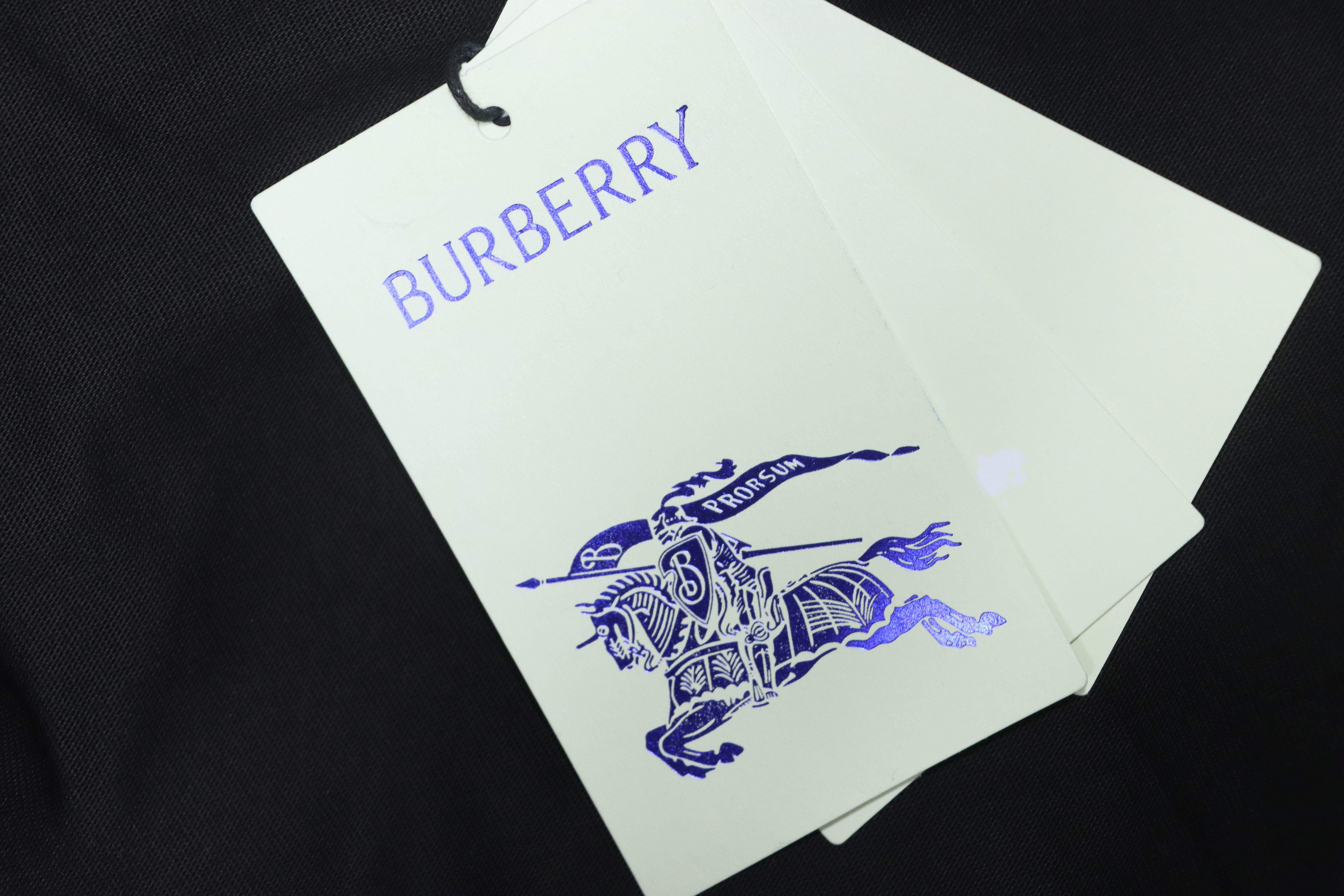 BURBERRY 25FW Embroidery Logo Long Sleeve T-Shirt Style 1