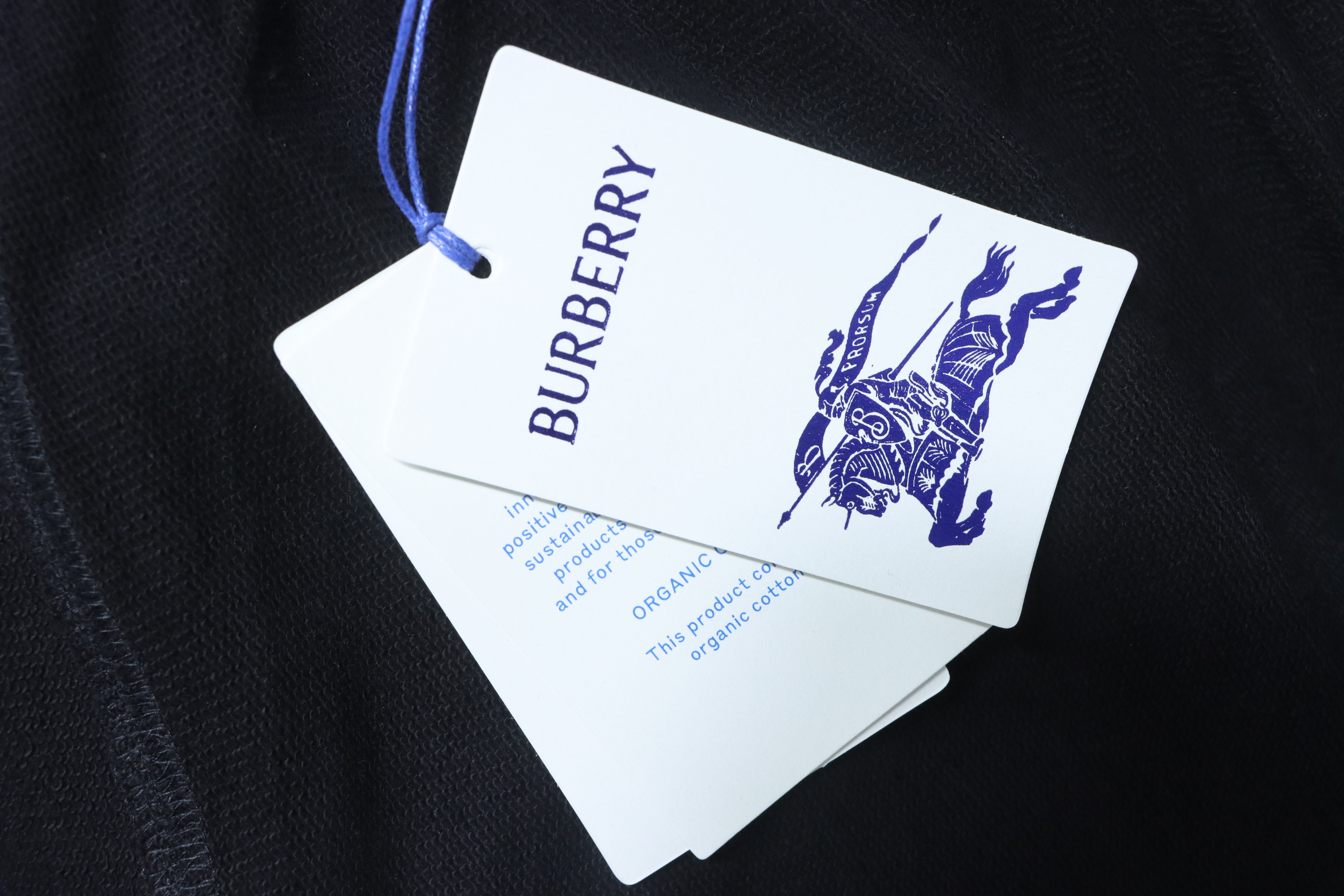 BURBERRY 25SS Letter Logo Shorts Style 1