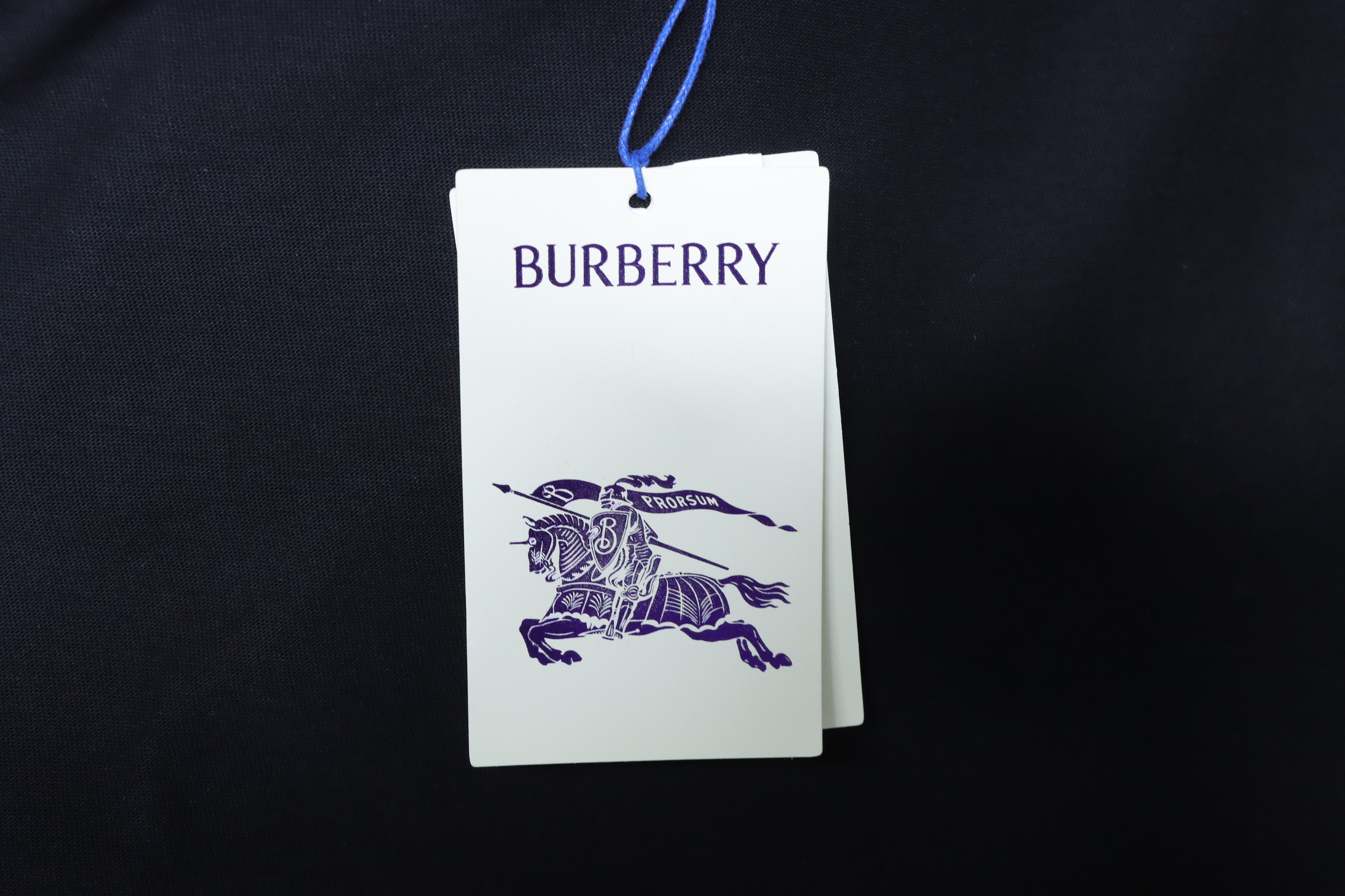 BURBERRY 26SS Embroidered Flag Short Sleeve T-Shirt Style 5