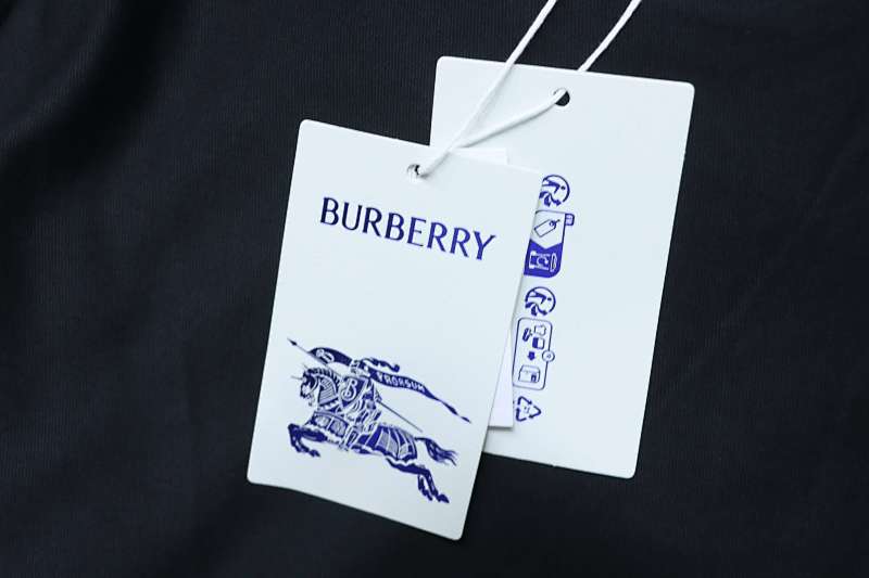 BURBERRY 26SS Equestrian Check Embroidery Short Sleeve T-Shirt Style 2
