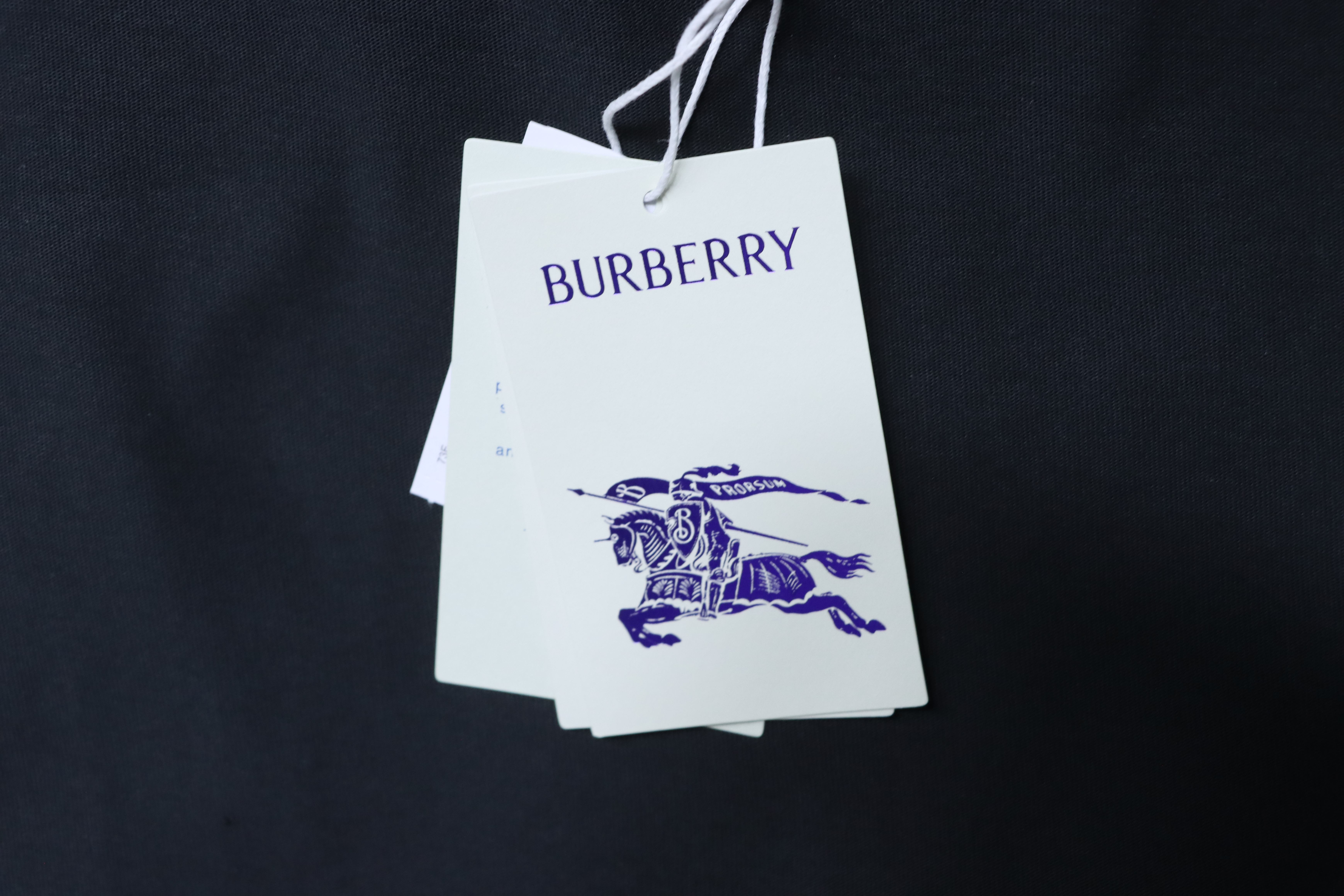 BURBERRY Beach Chair Print Short Sleeve T-Shirt Style 2