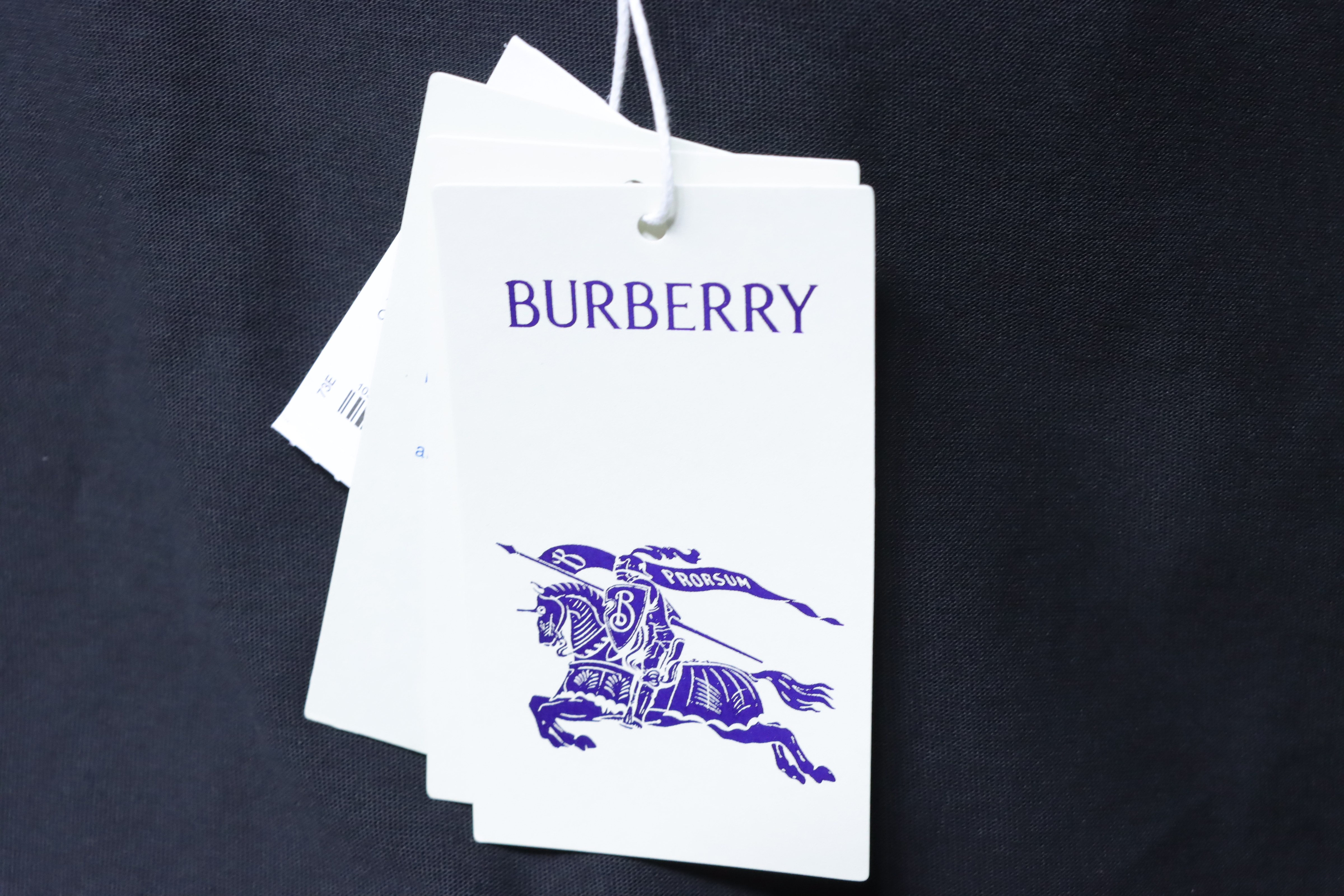 BURBERRY Blue Small Logo Equestrian Embroidery Small Logo Equestrian Embroidery Crew Neck Blue Short Sleeve T-Shirt Style 1