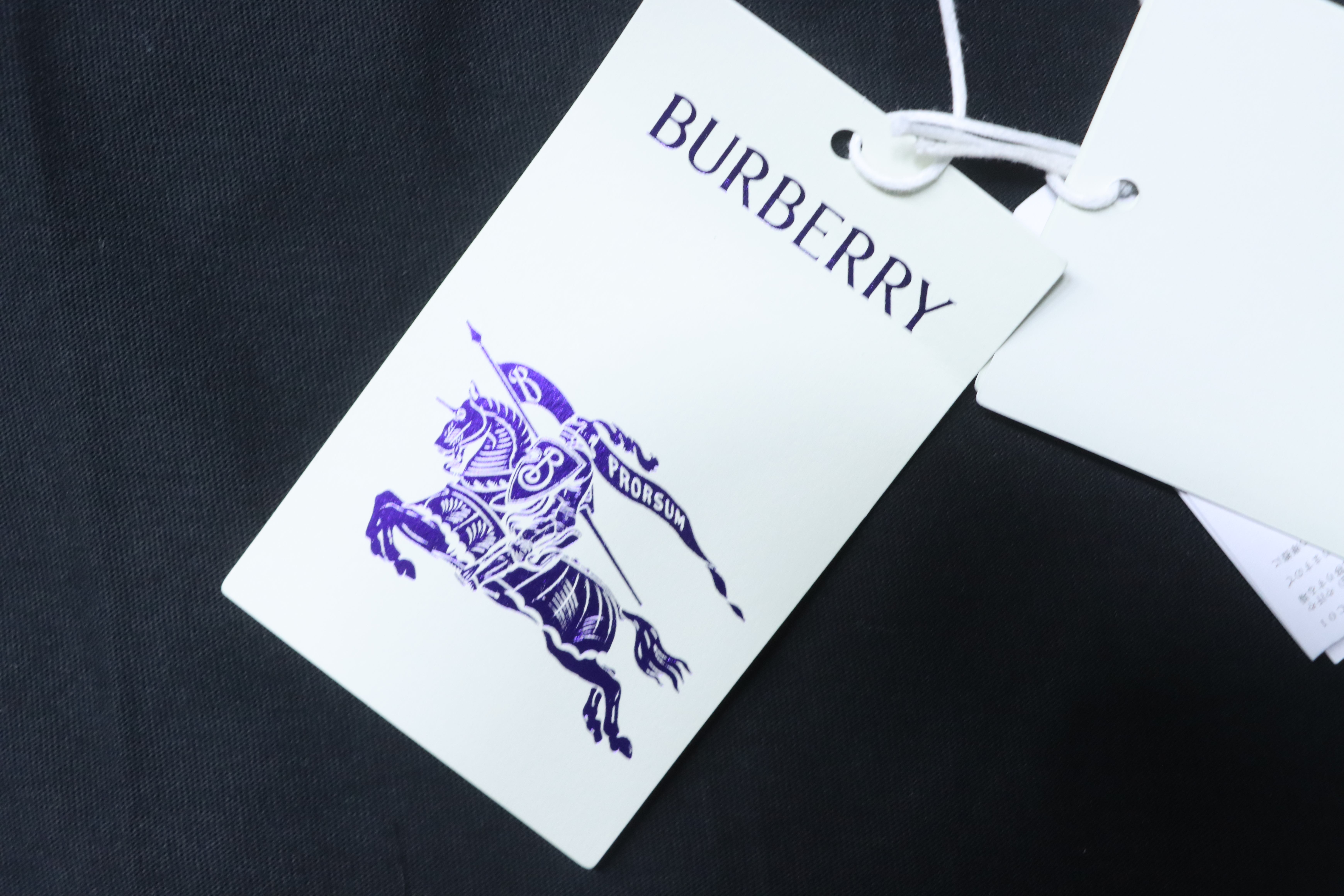 BURBERRY Check Embroidery Letter Short Sleeve T-Shirt Style 1