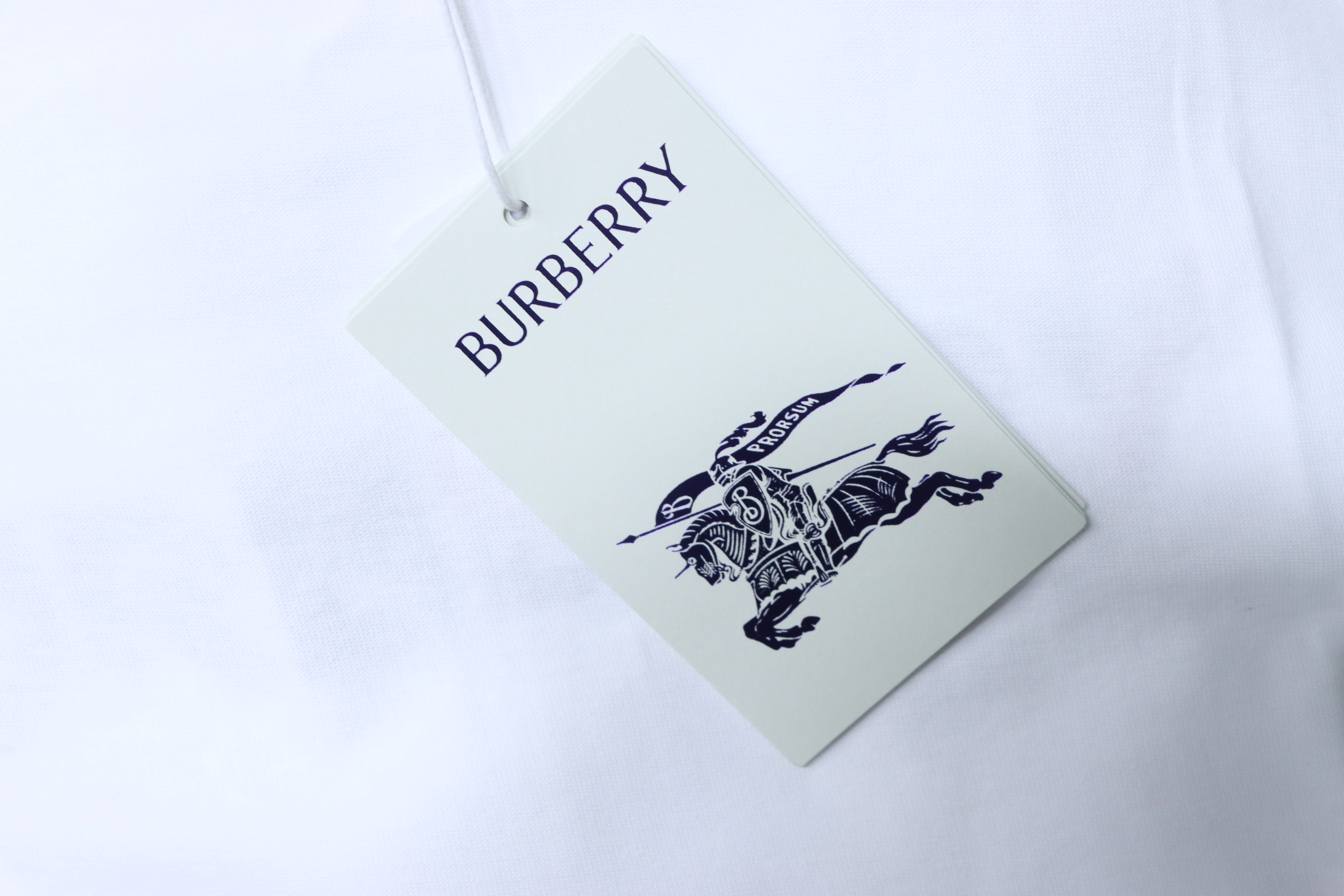 BURBERRY Check Embroidery Letter Short Sleeve T-Shirt Style 2