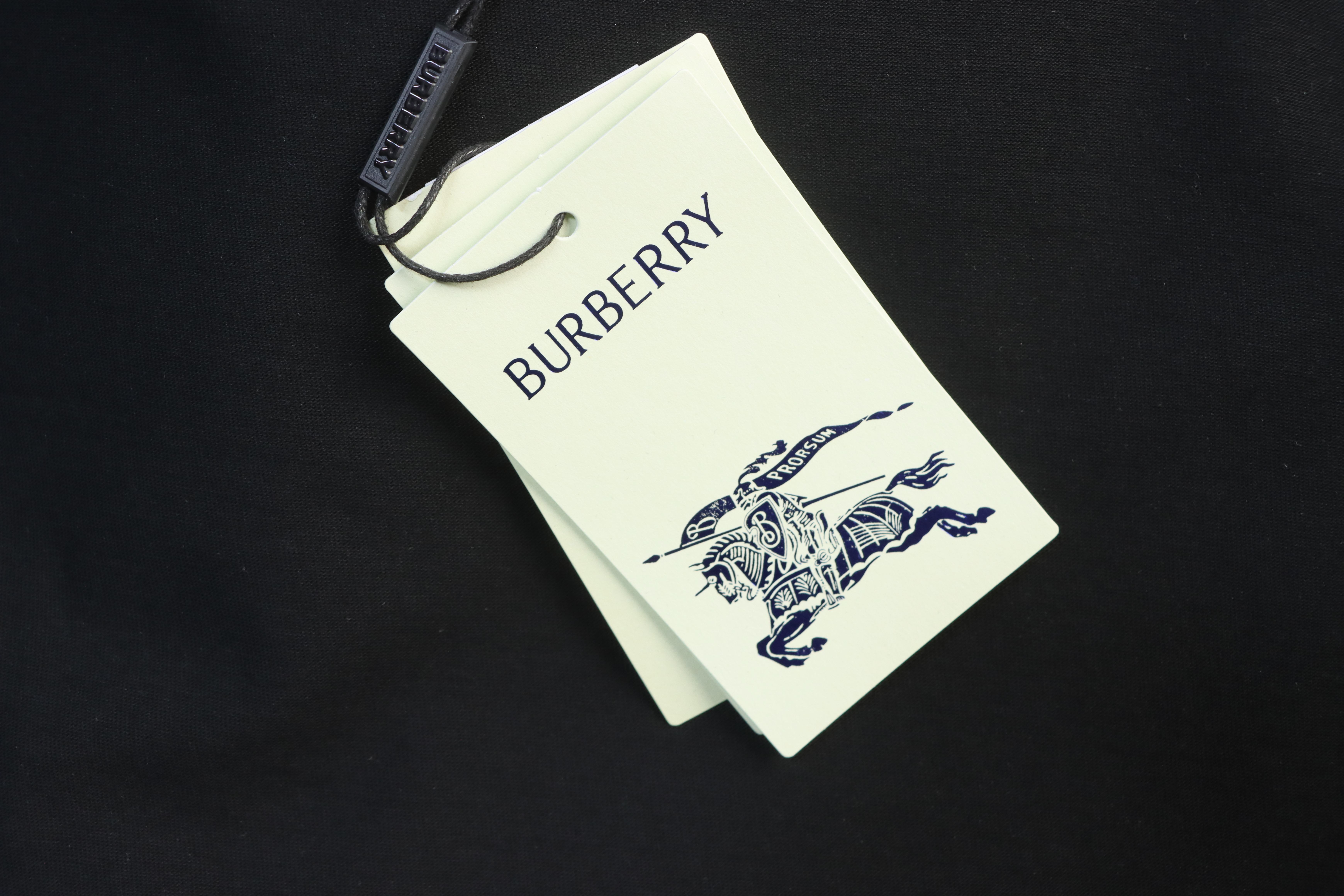 BURBERRY Equestrian Embroidery Blue Short Sleeve T-Shirt Style 2