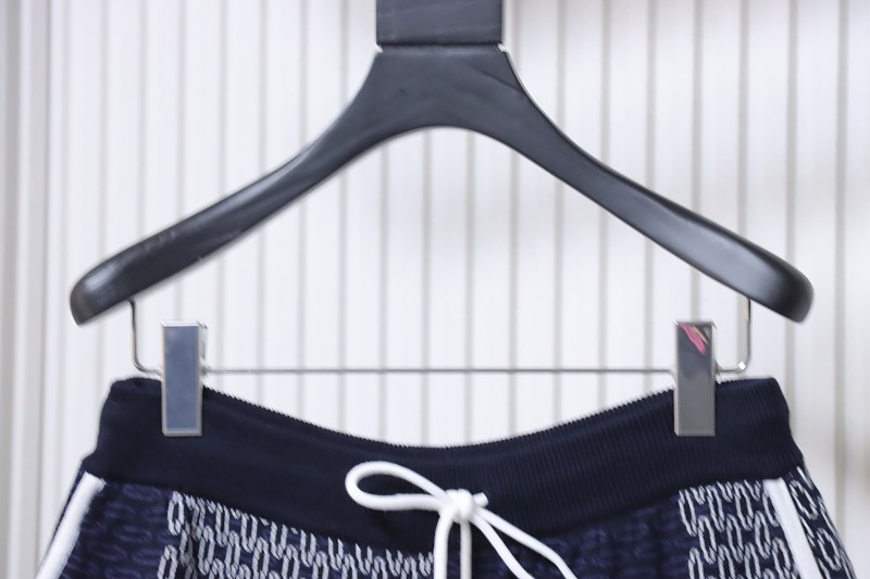 LOUIS VUITTON 26SS Checkerboard Blue Shorts