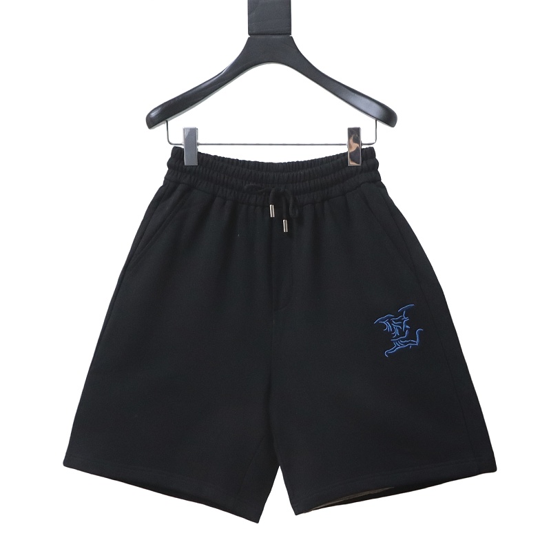 LOUIS VUITTON 26SS Letter Embroidery Logo White Blue Shorts