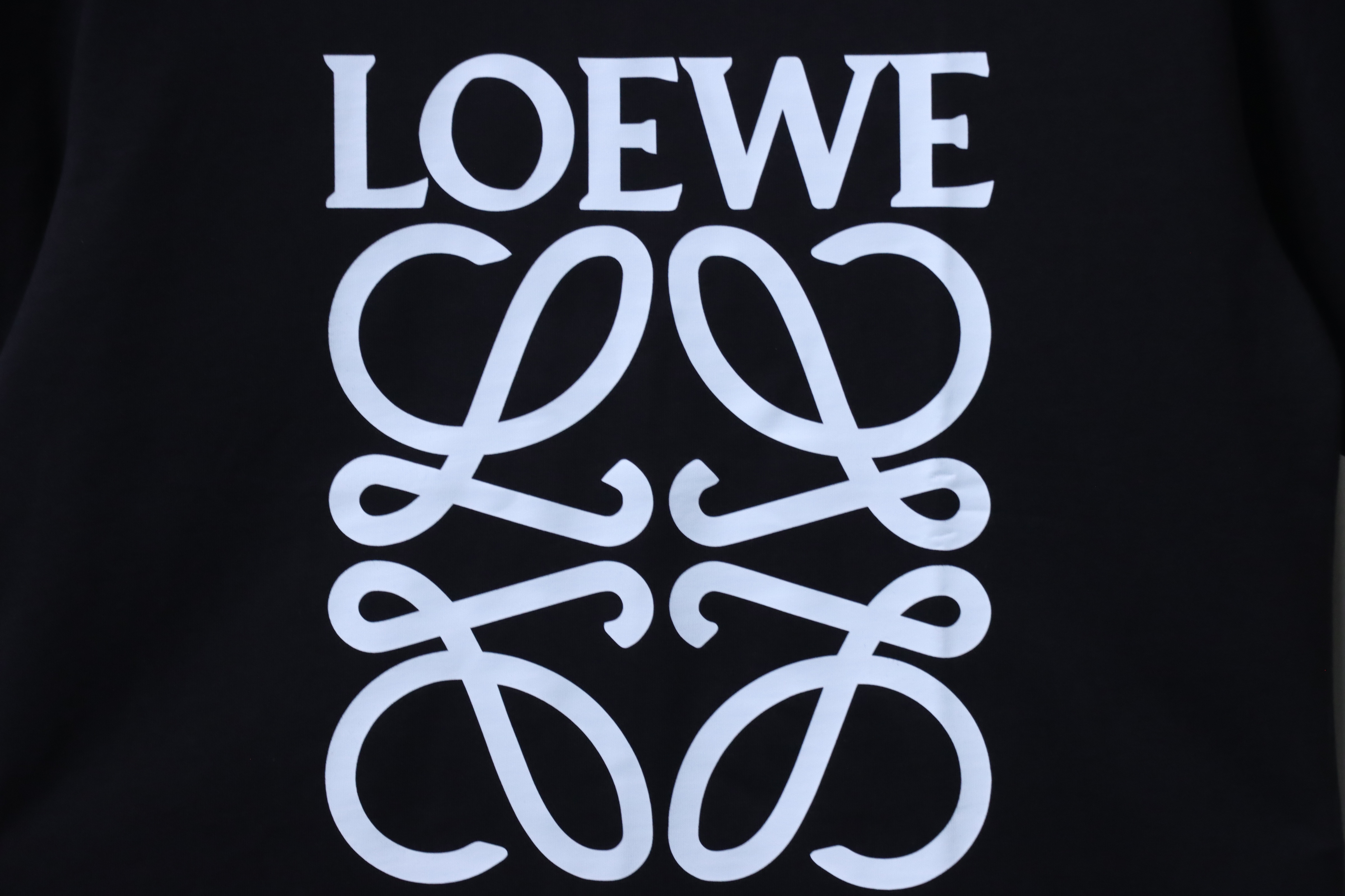 Loewe 25SS Print Short Sleeve T-Shirt -2