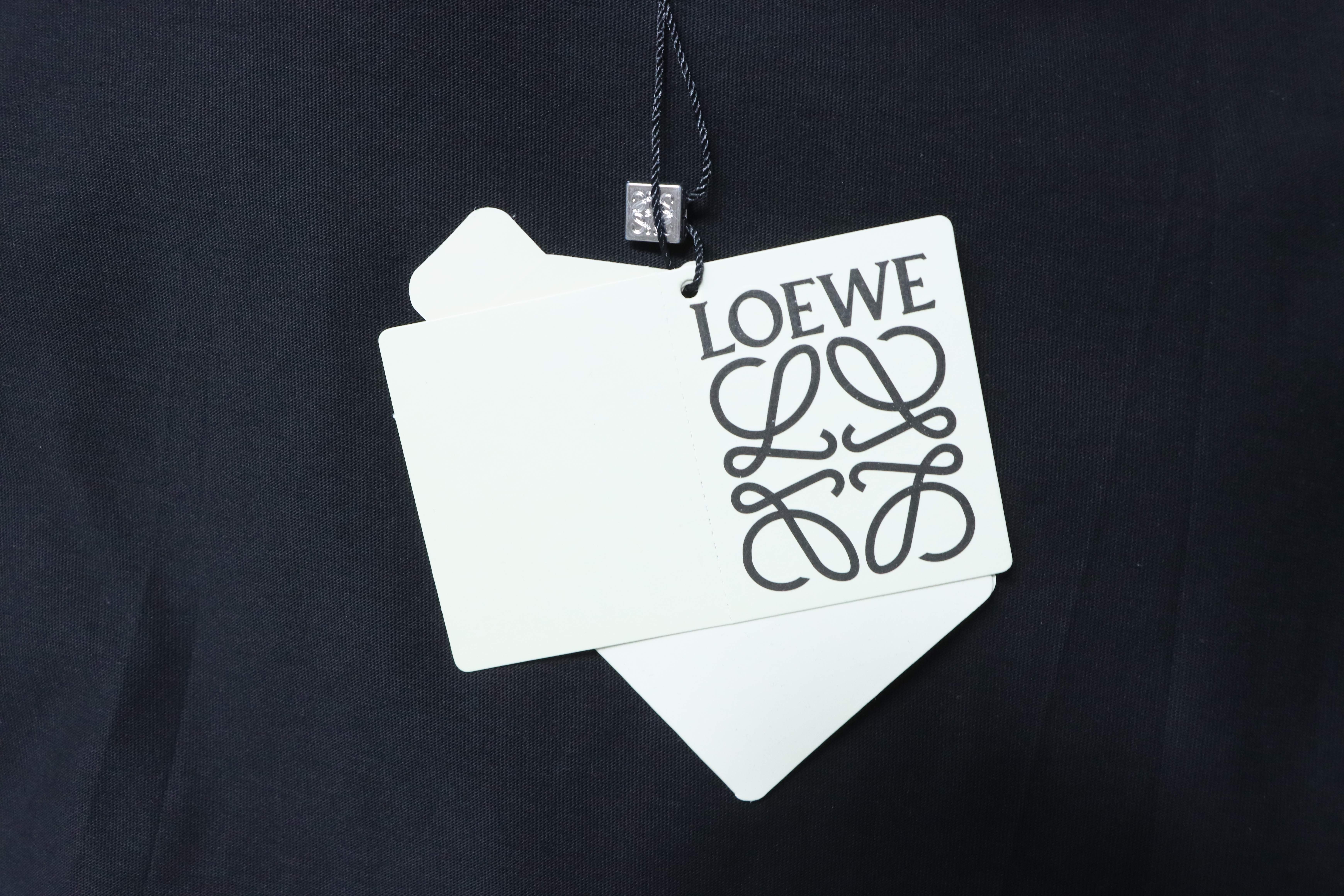 Loewe 26SS Big Frog Short Sleeve T-Shirt