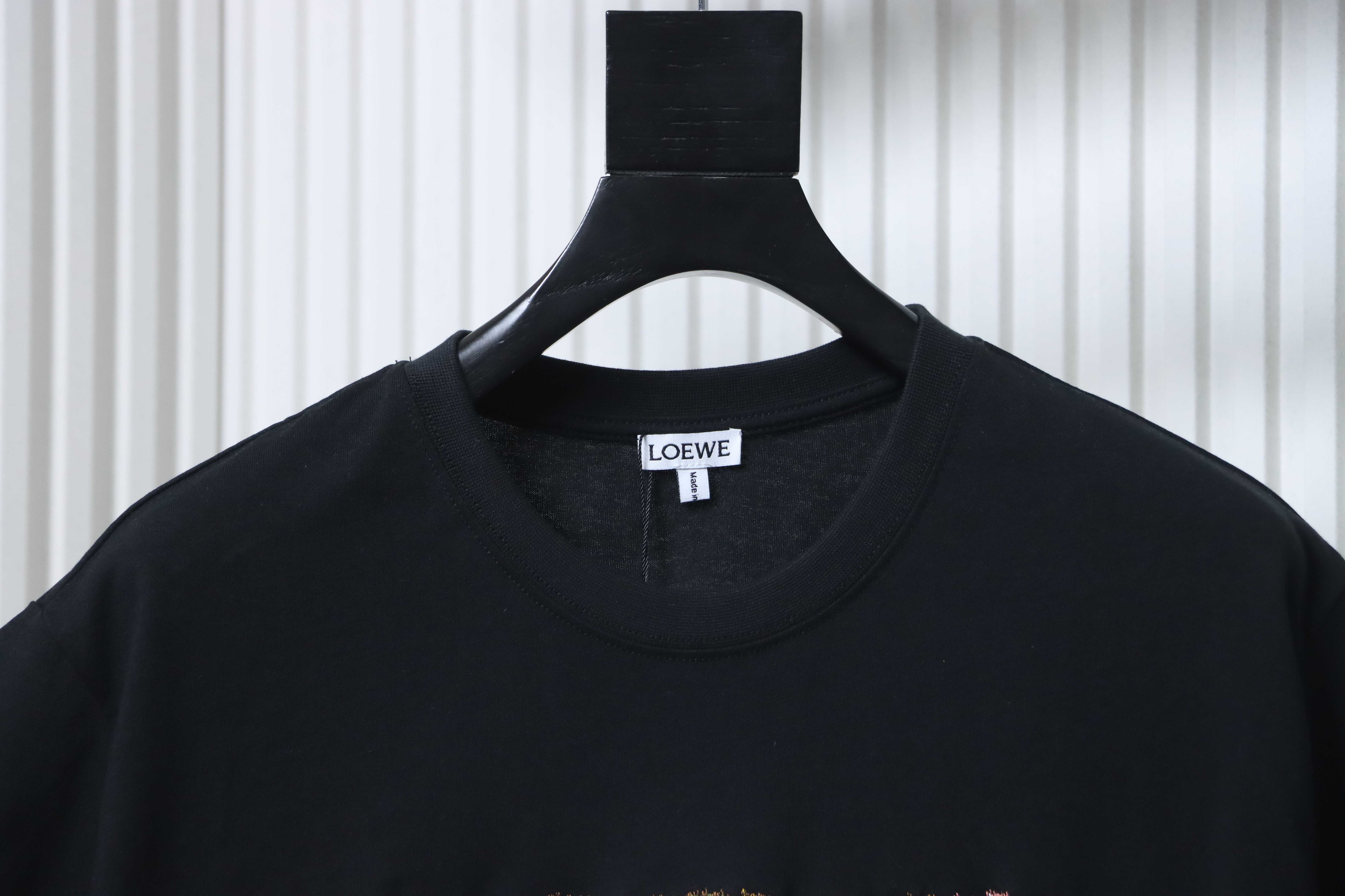 Loewe 26SS Multicolor Embroidered Short Sleeve T-Shirt -2