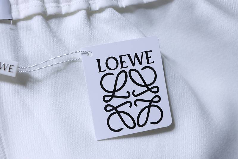 Loewe 26SS Towel Patch Letter Shorts -1