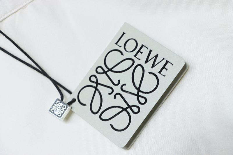 Loewe Colorblock Embroidered Shirt
