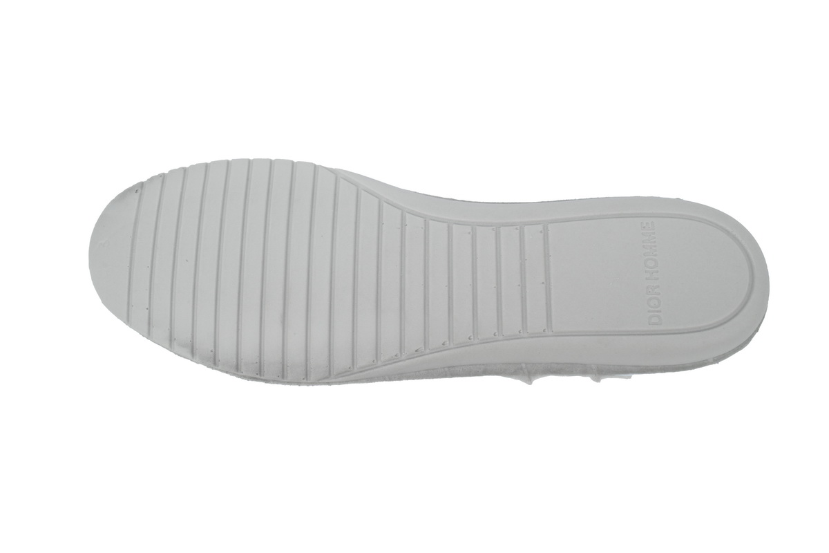 Dior B27 High Gray Gray