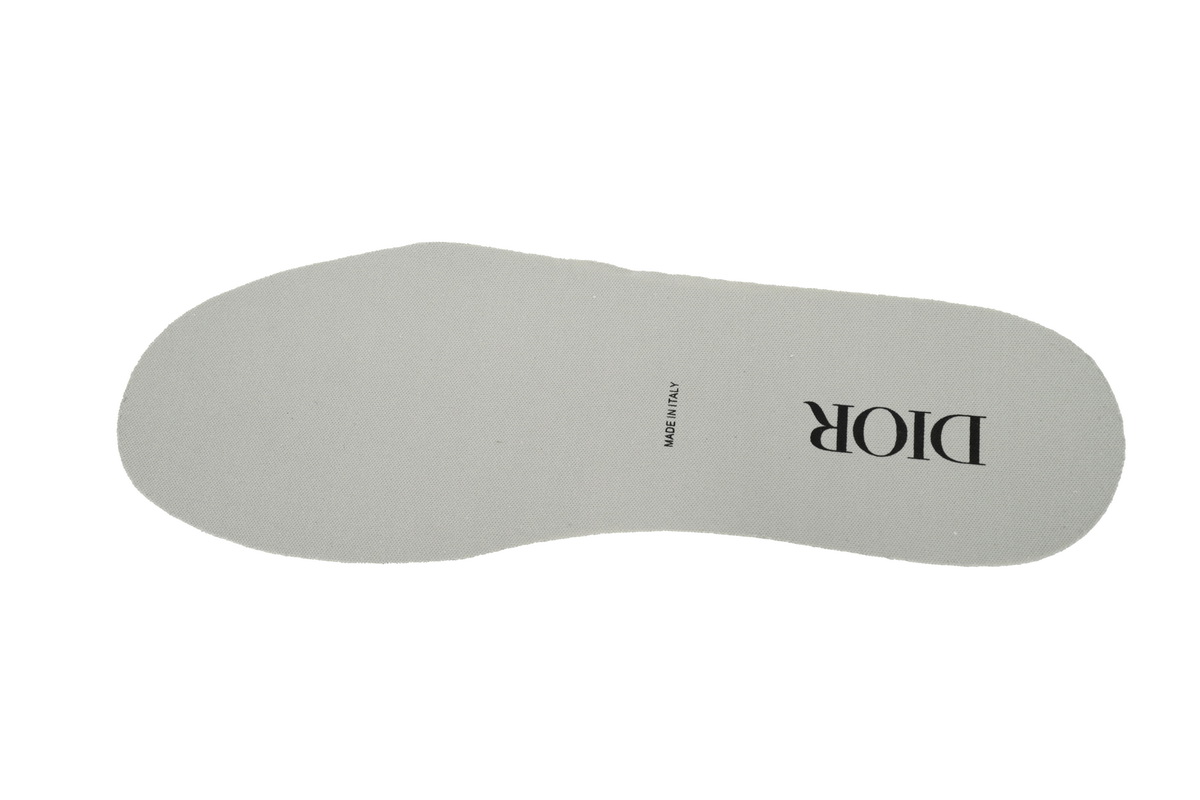Dior B27 High Grey