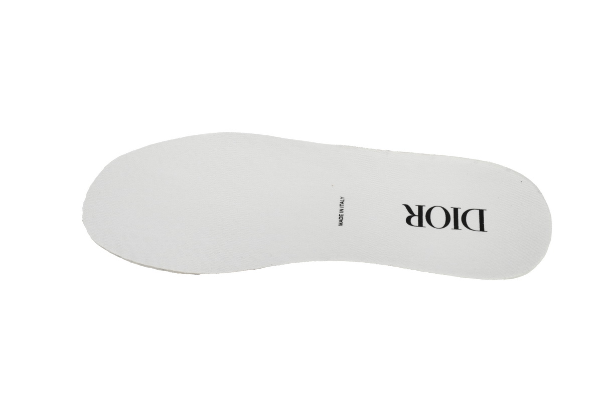 Dior B27 High White