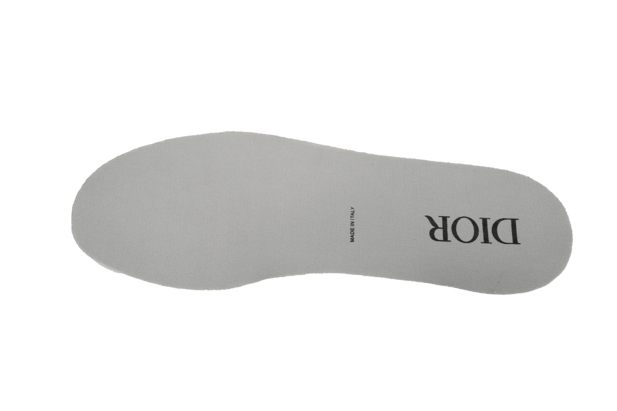 Dior B27 Low Grey