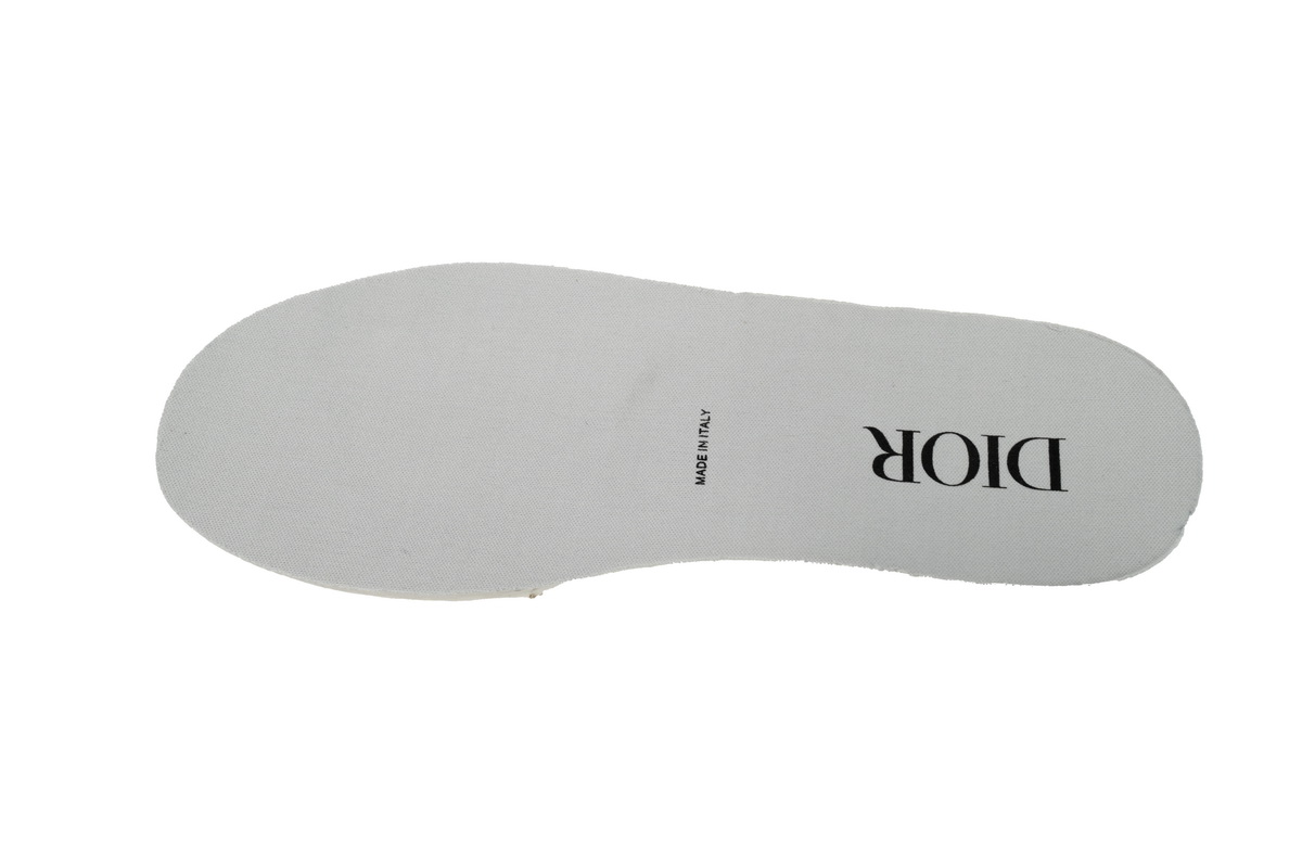 Dior B27 Low White