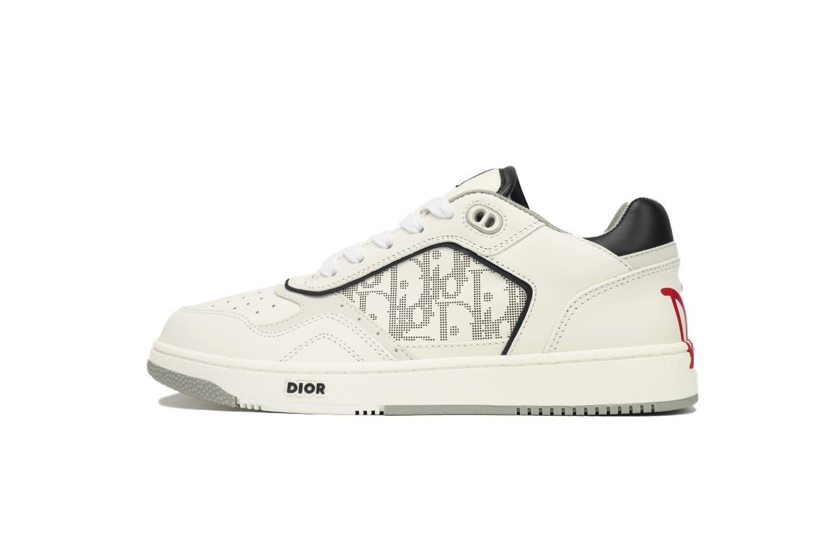 Dior B27 Low White Grey