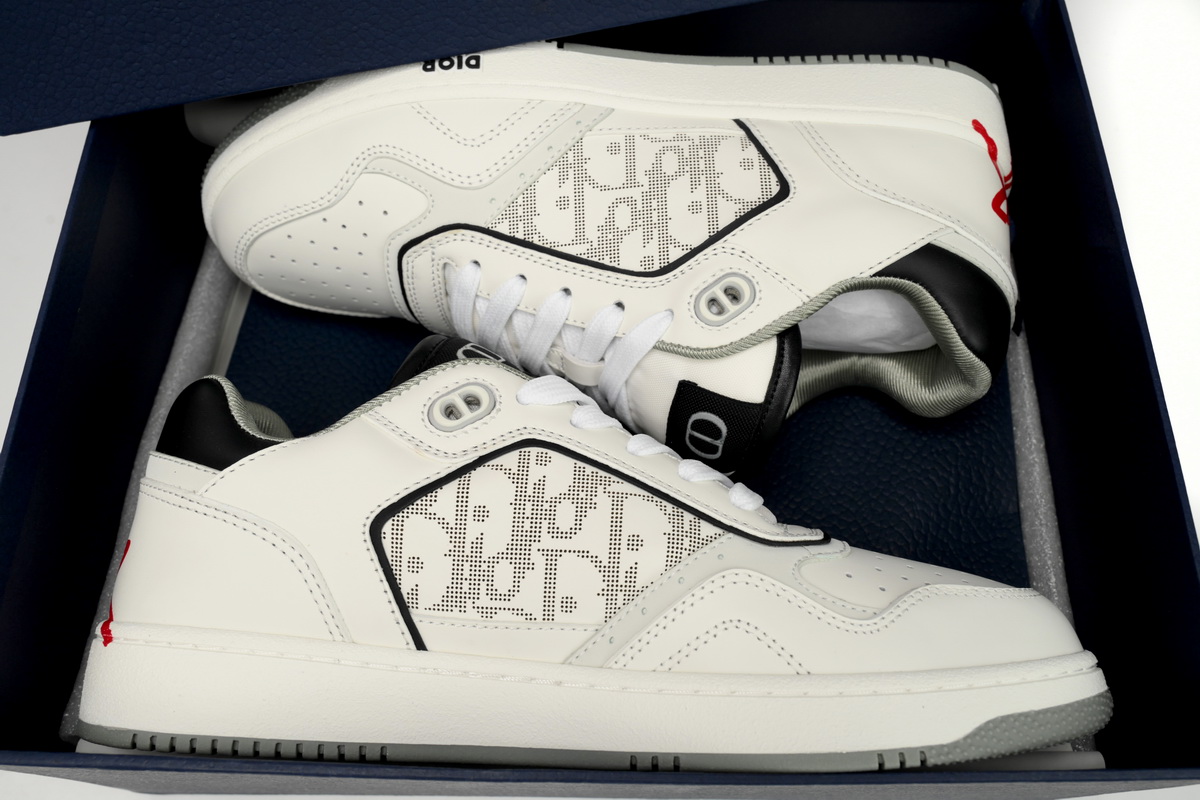 Dior B27 Low White Grey