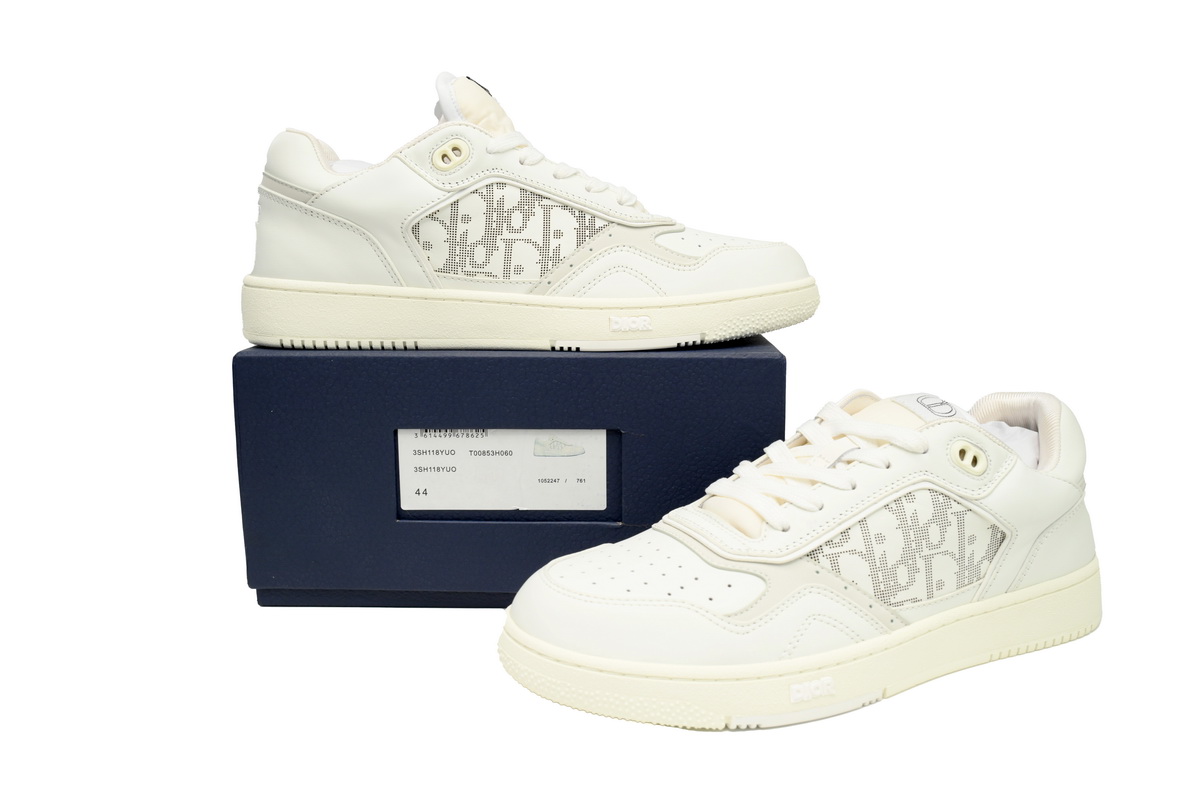 Dior B27 Low White White