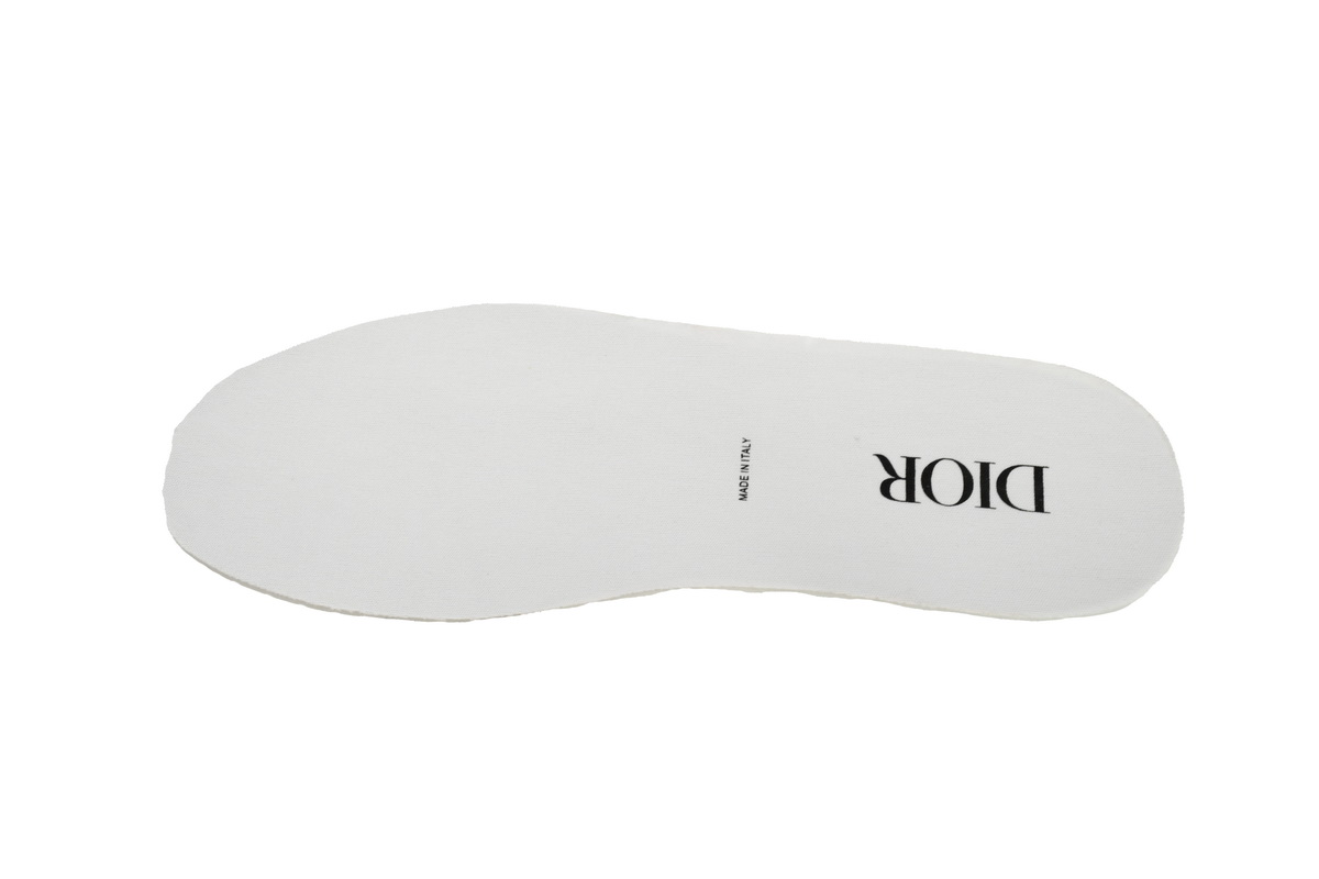 Dior B27 Low White White