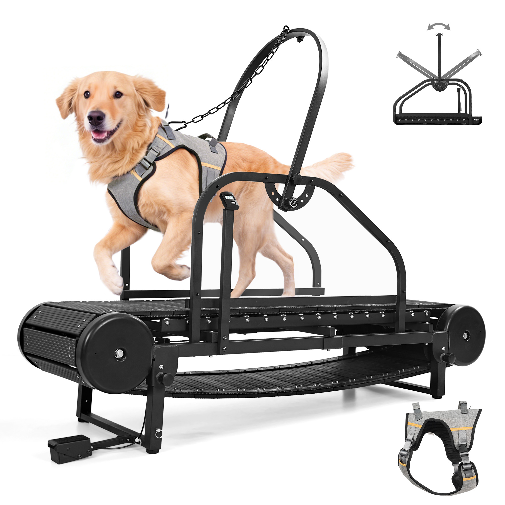 Raenate Dog Treadmill for Small Medium Large Dogs