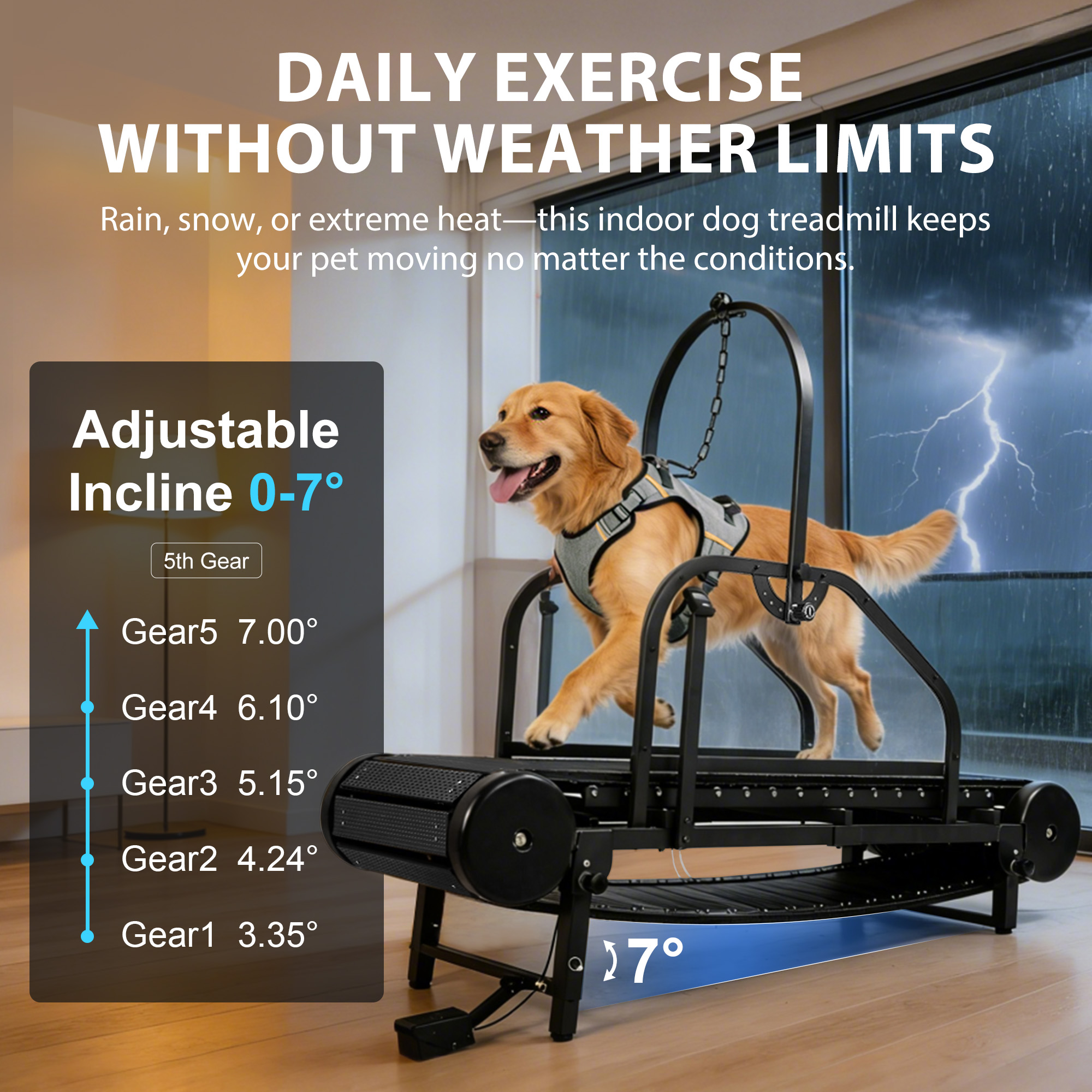 Raenate Dog Treadmill for Small Medium Large Dogs