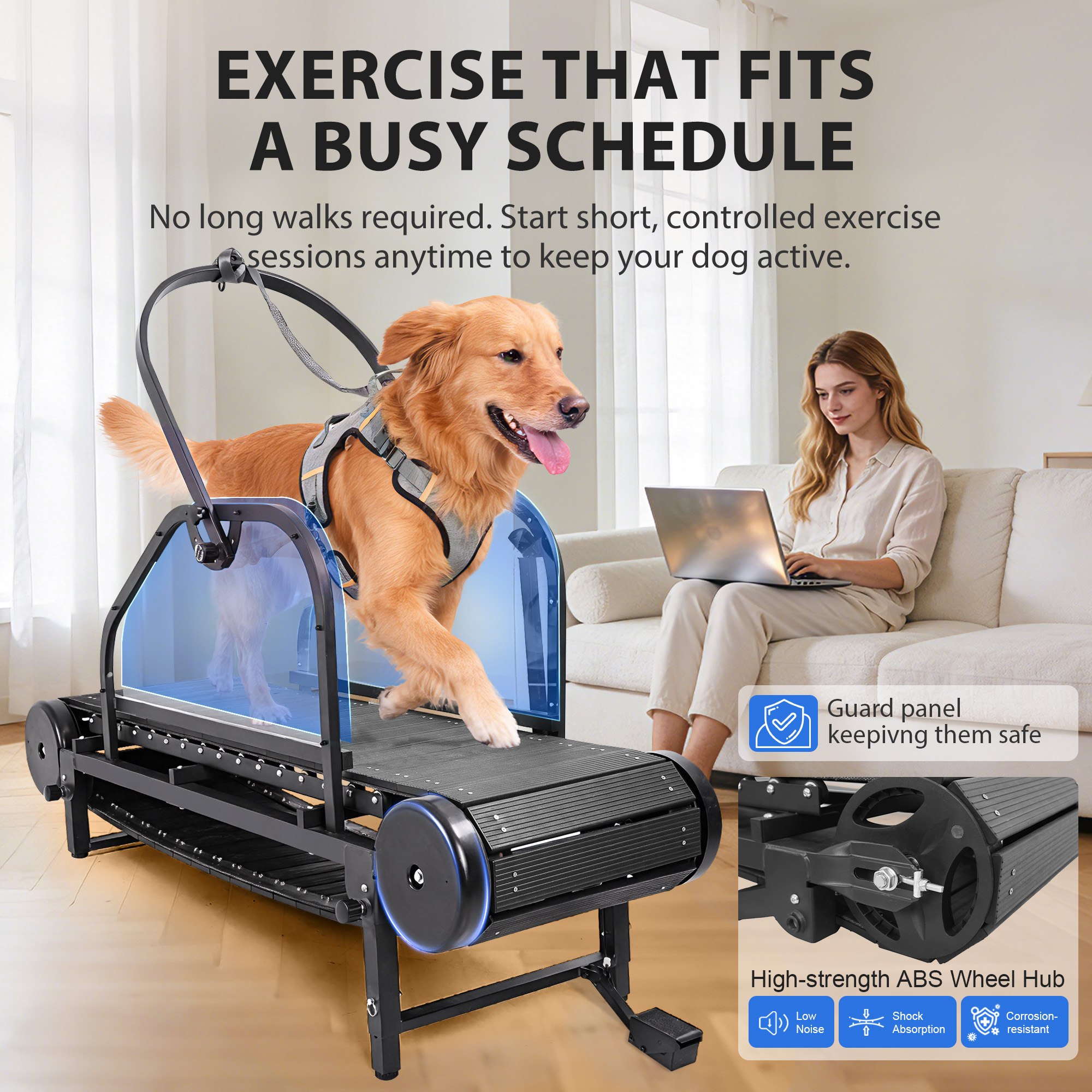 Raenate Dog Treadmill for Small Medium Large Dogs