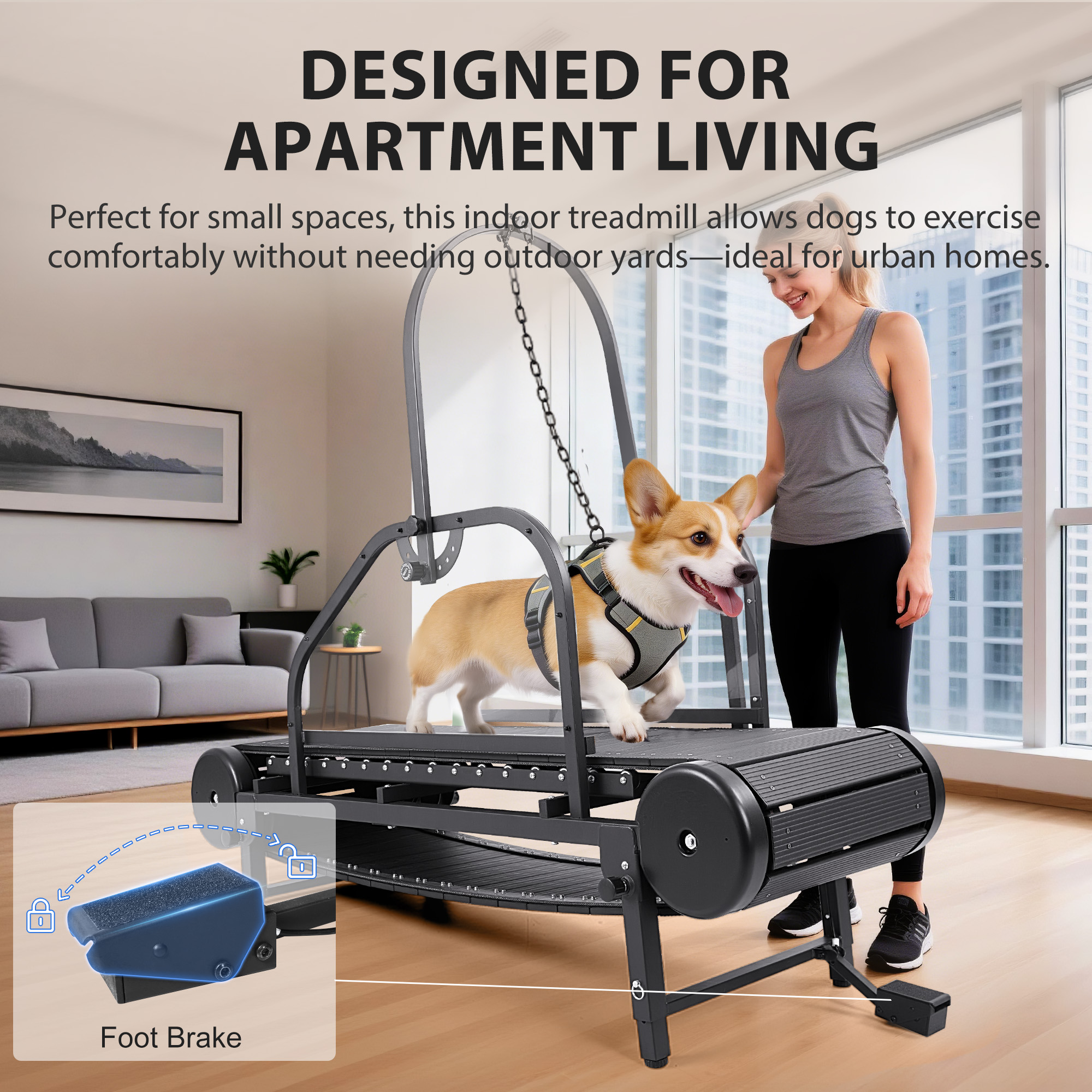 Raenate Dog Treadmill for Small Medium Large Dogs