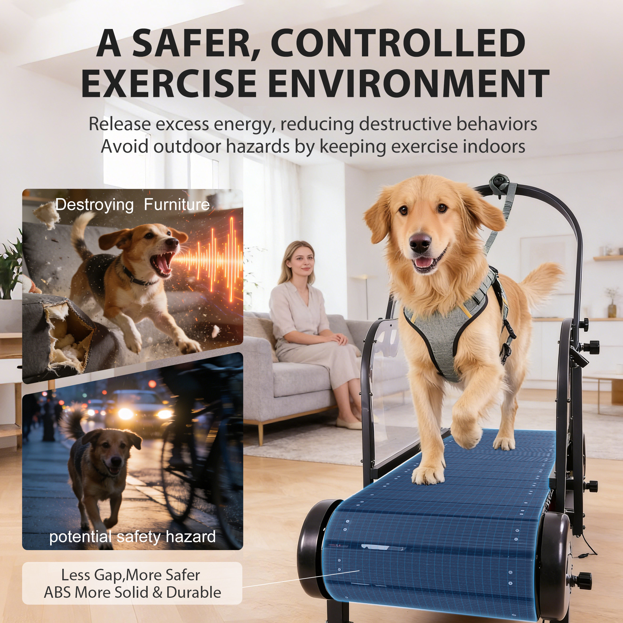 Raenate Dog Treadmill for Small Medium Large Dogs