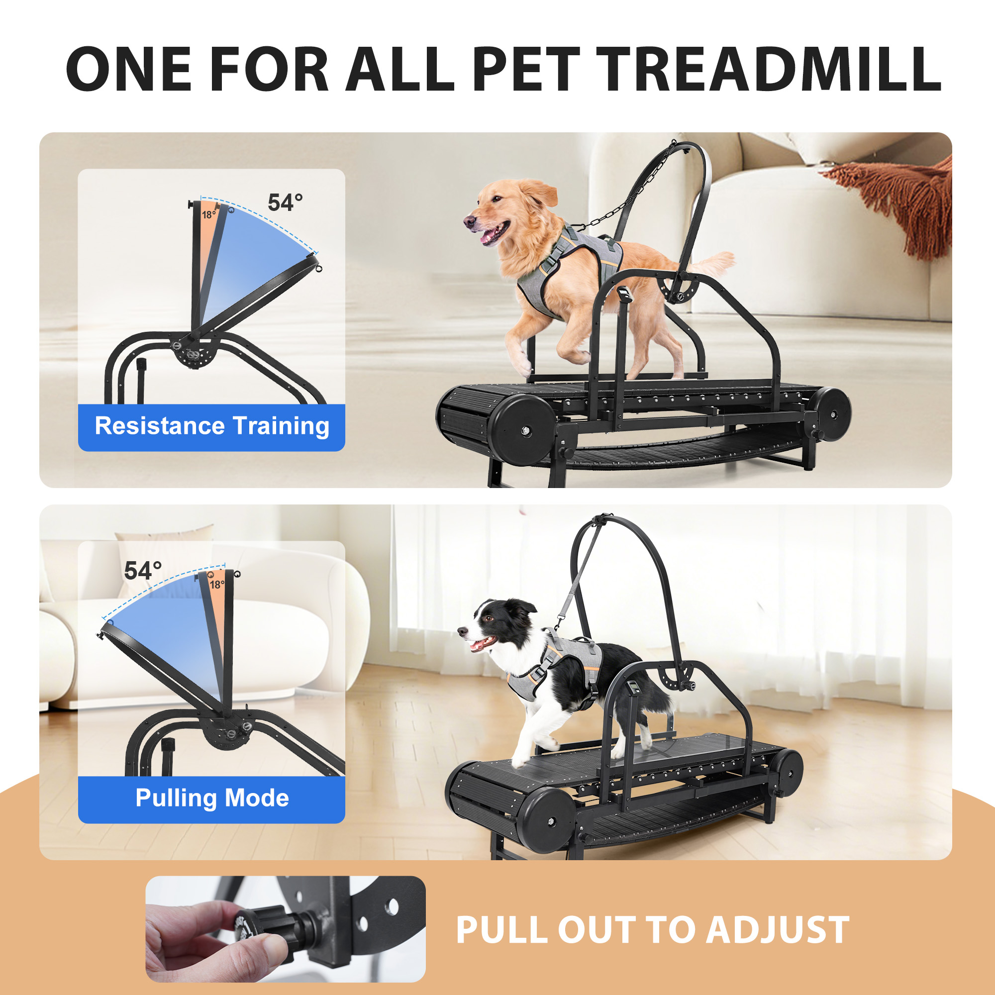 Raenate Dog Treadmill for Small Medium Large Dogs