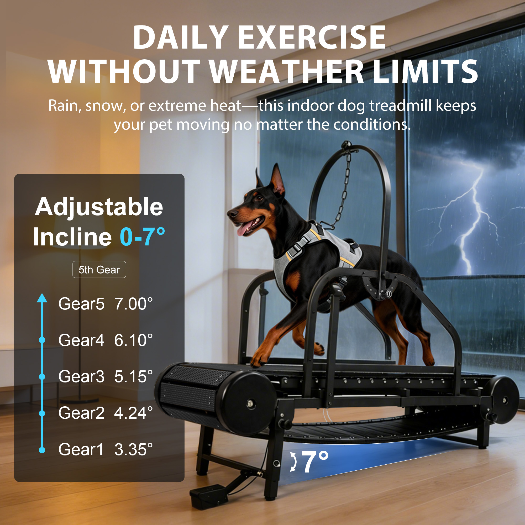 Raenate Dog Treadmill for Small Medium Large Dogs