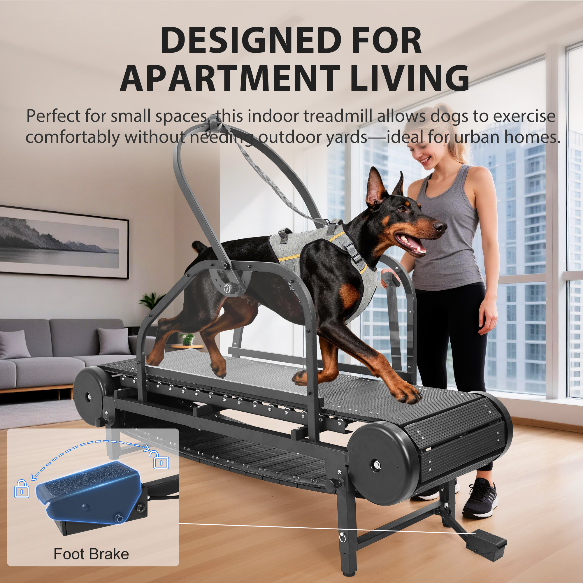 Raenate Dog Treadmill for Small Medium Large Dogs
