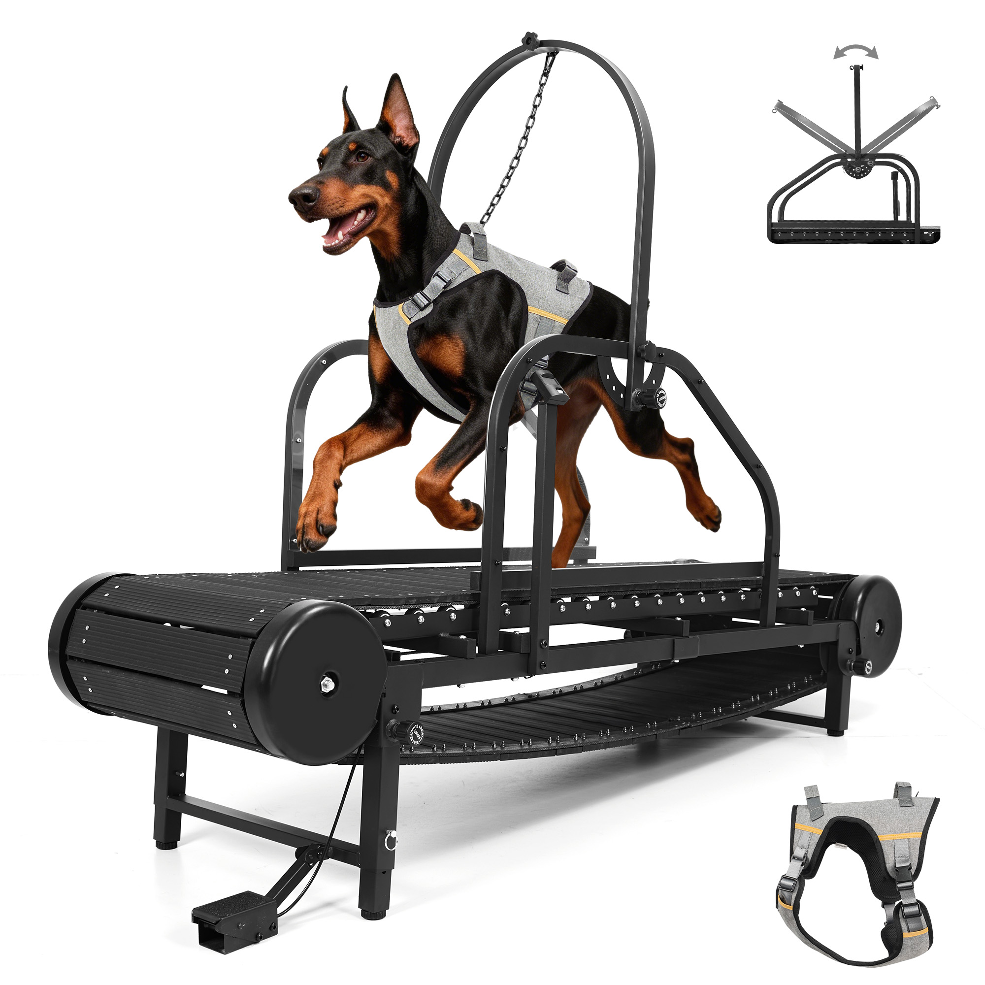 Raenate Dog Treadmill for Small Medium Large Dogs