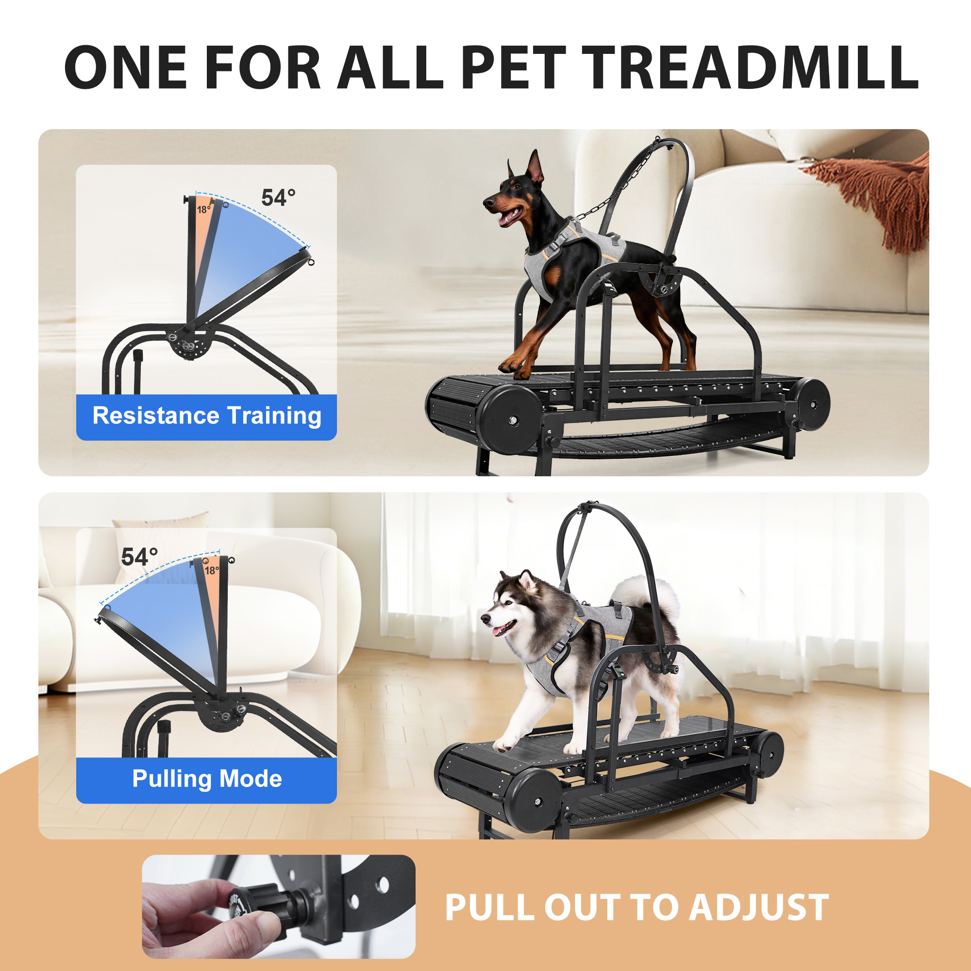 Raenate Dog Treadmill for Small Medium Large Dogs