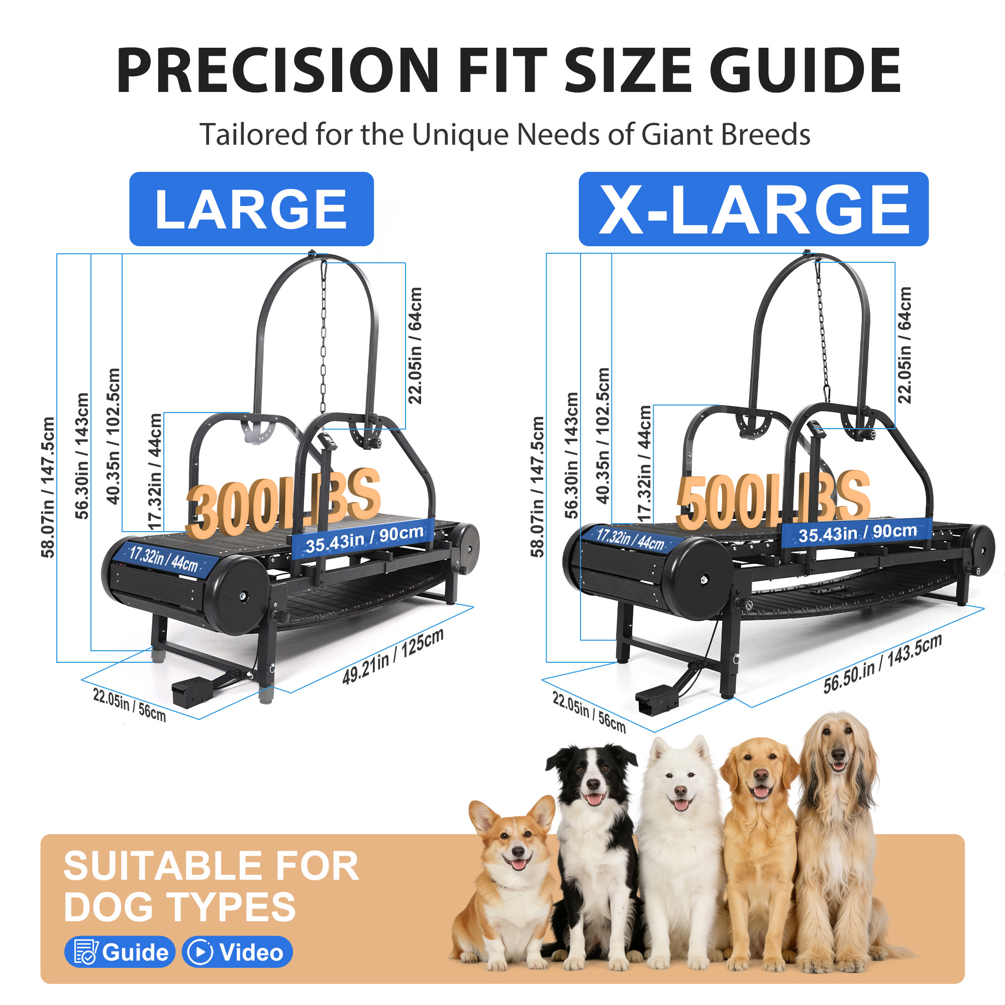 Raenate Dog Treadmill for Small Medium Large Dogs