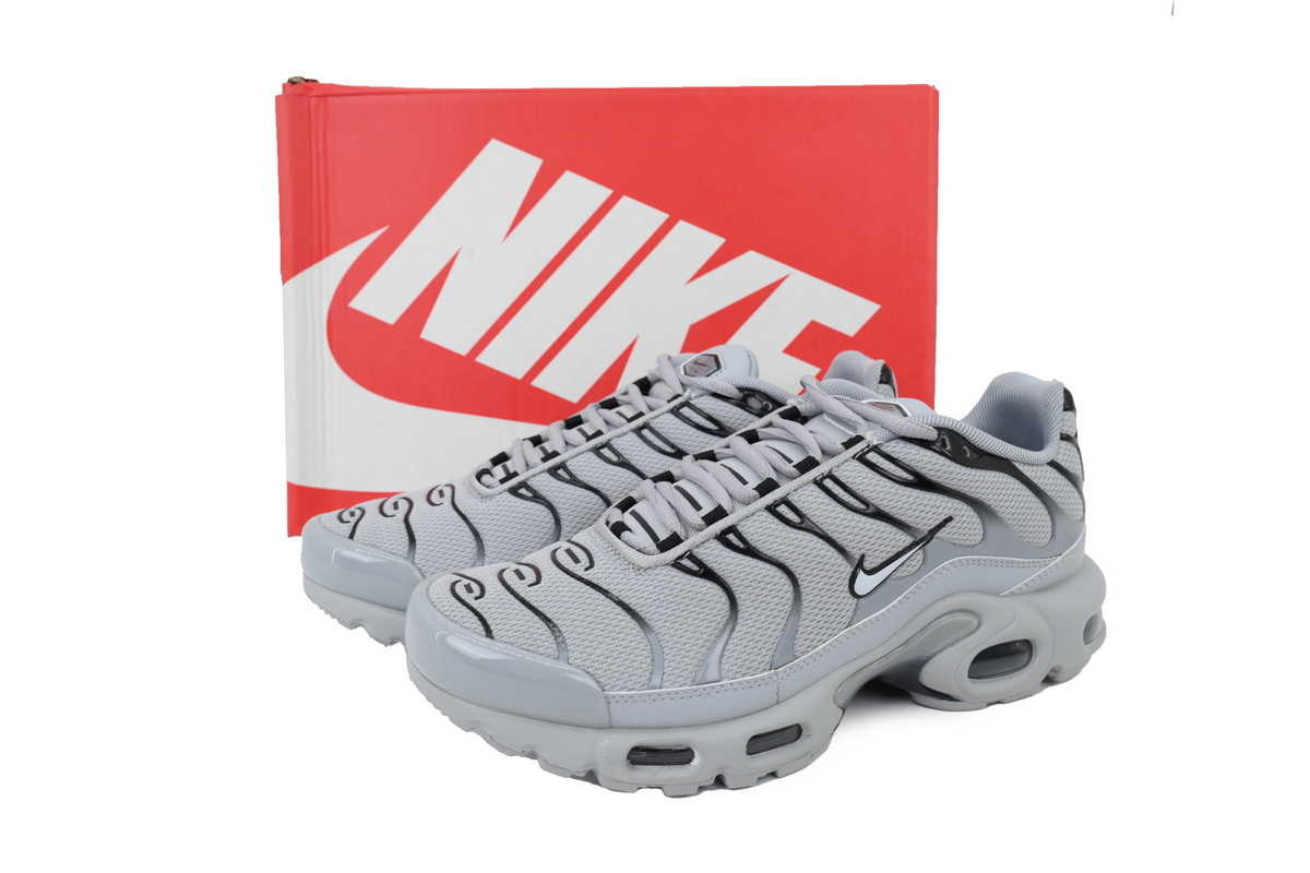 Nike Air Max Plus Gris HF0552-001